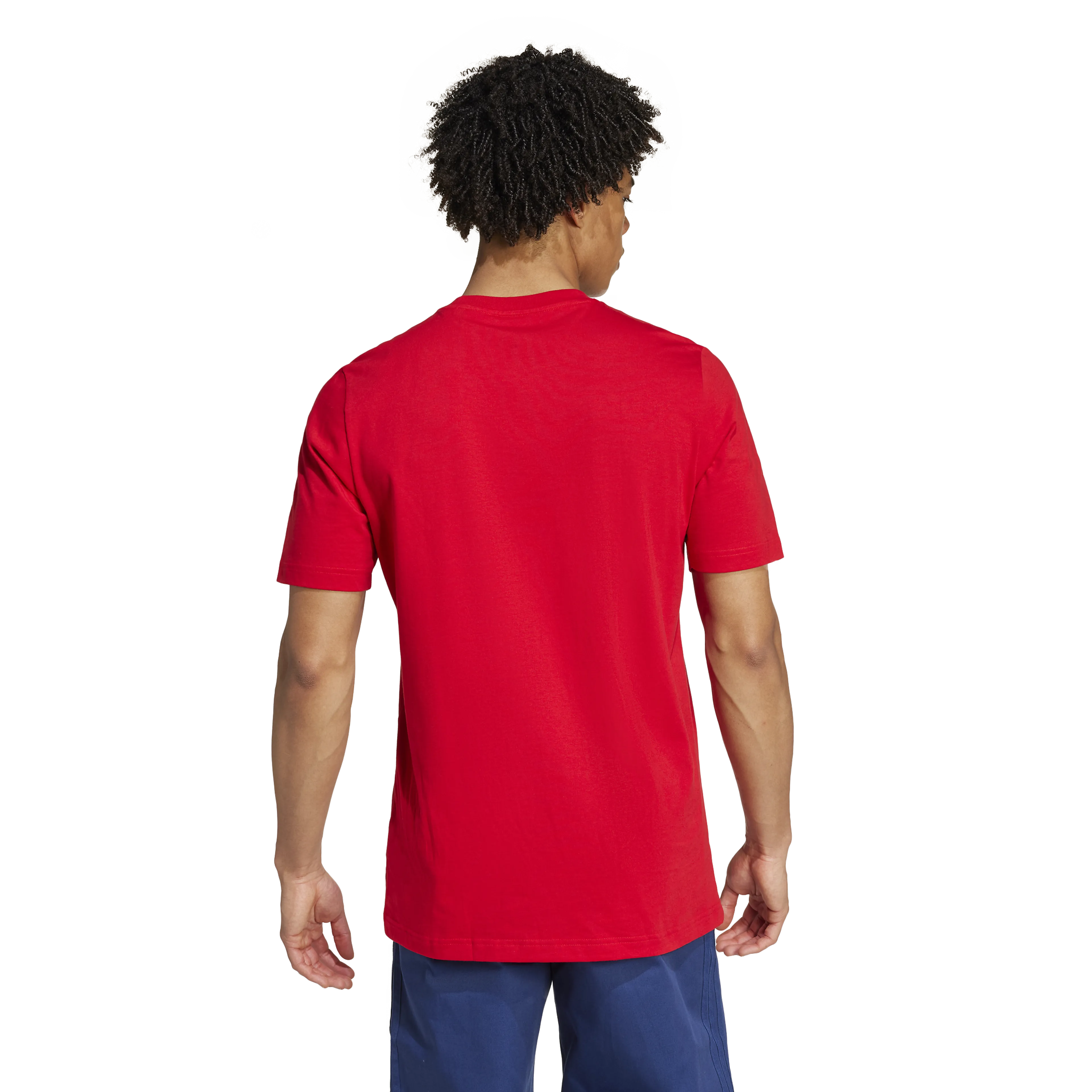 Arsenal DNA Graphic T-skjorte