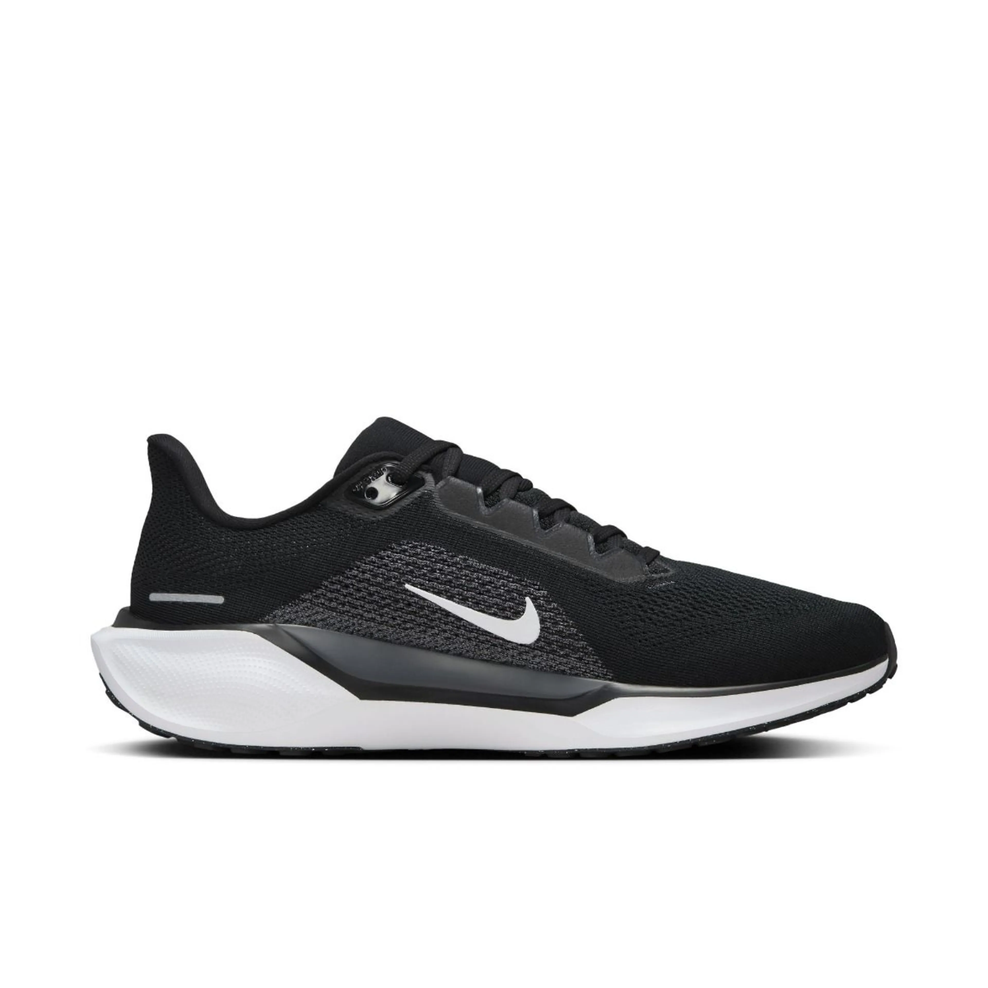  Pegasus 41
