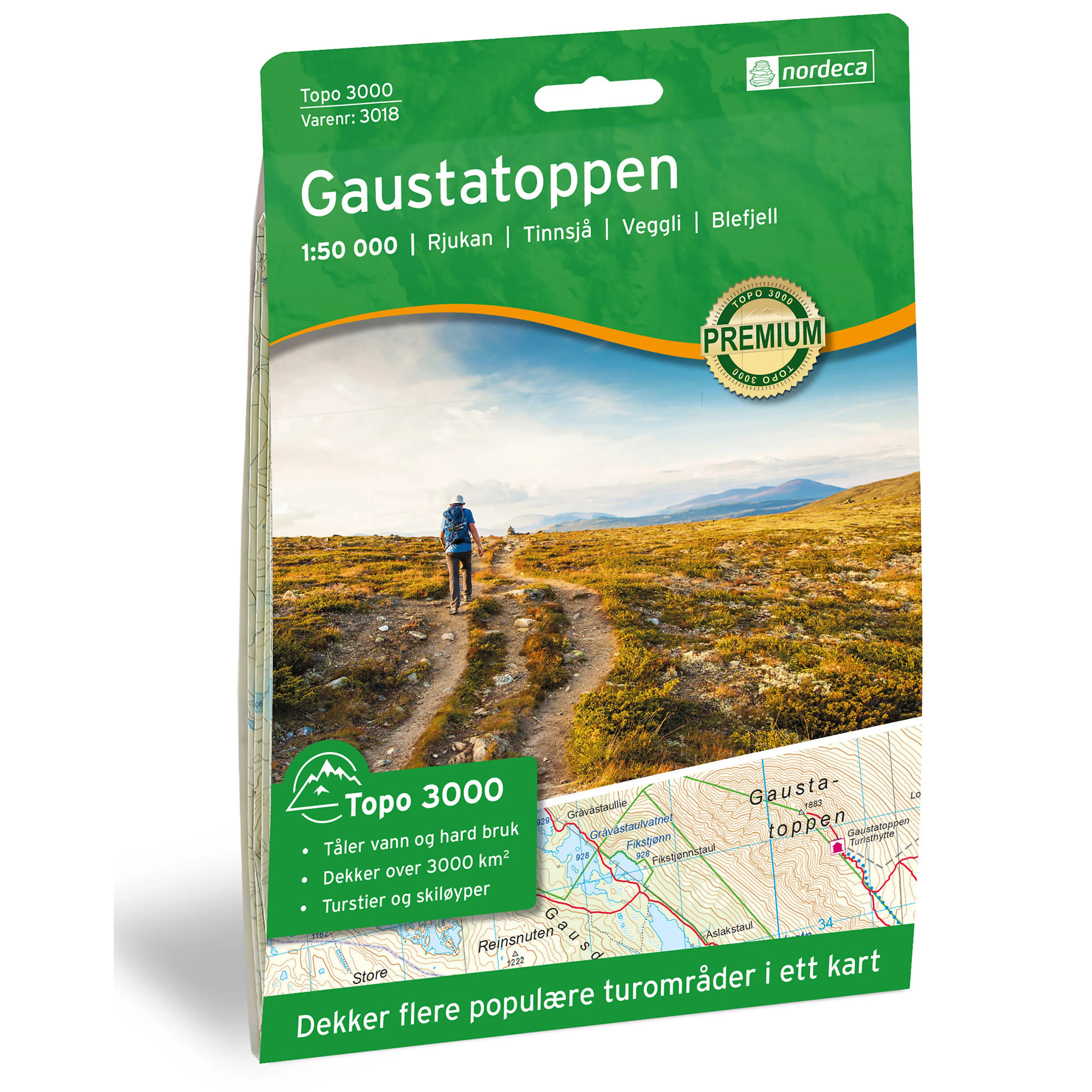 GAUSTATOPPEN 1:50 000 GAUSTATOPPEN 1:50 000