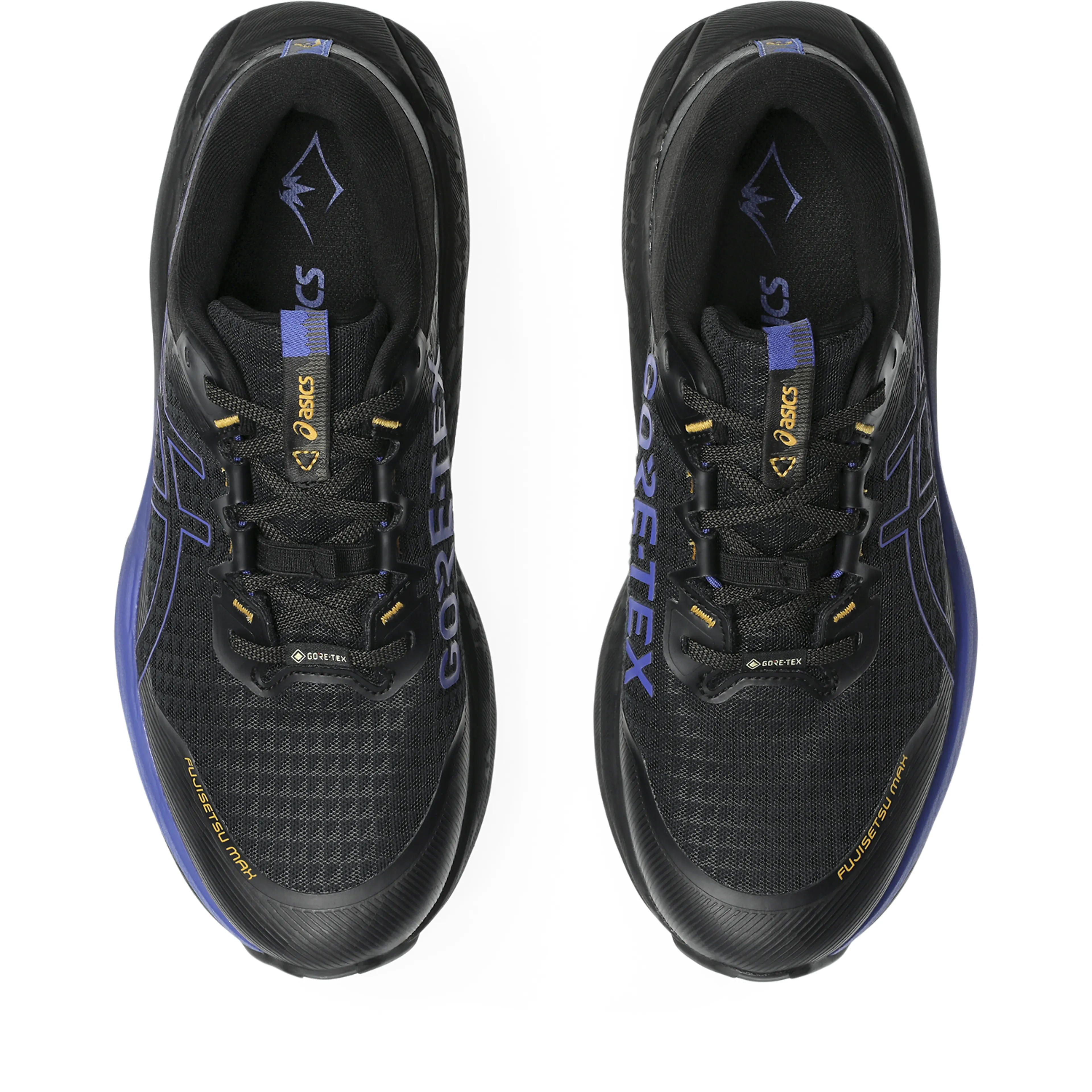 FUJISETSU MAX GTX