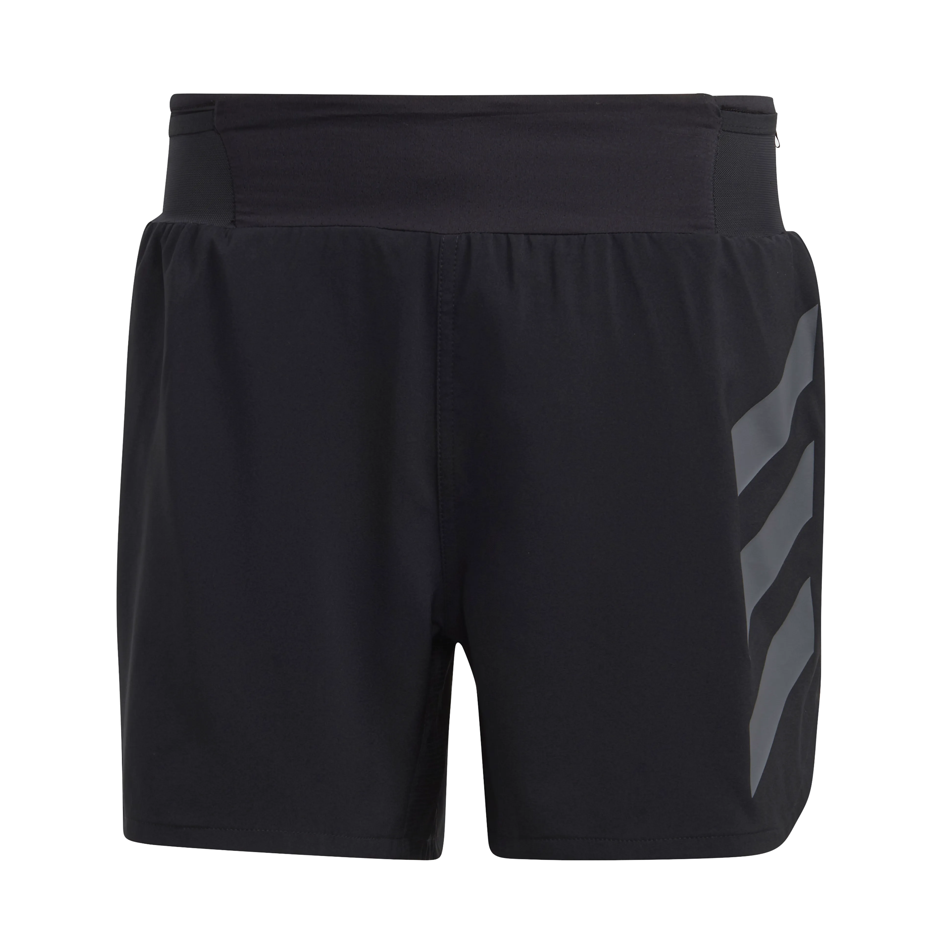 Terrex Agravic Trail Running shorts herre