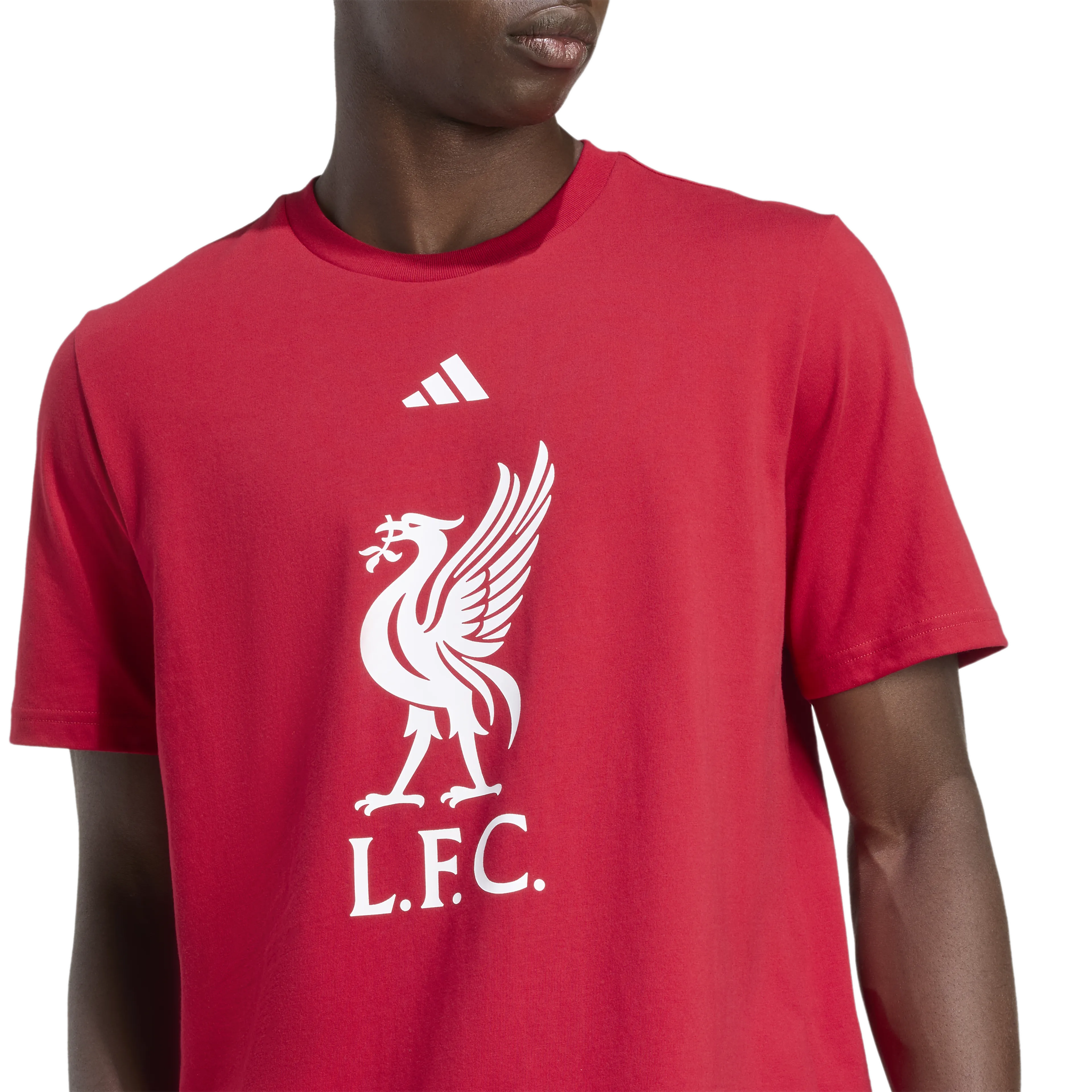 Liverpool FC DNA Graphic T-Skjorte Liverpool FC DNA Graphic T-Skjorte