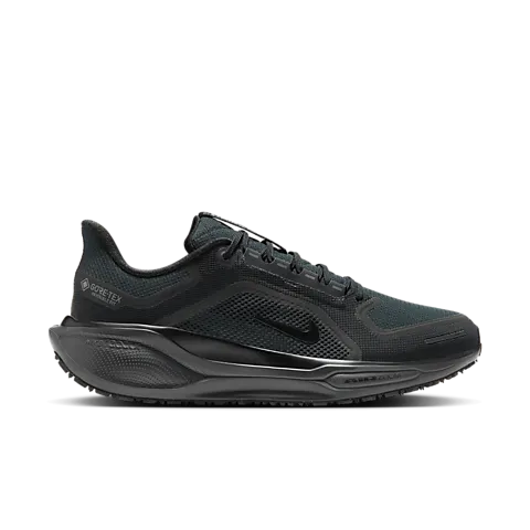 Nike Pegasus GTX 41