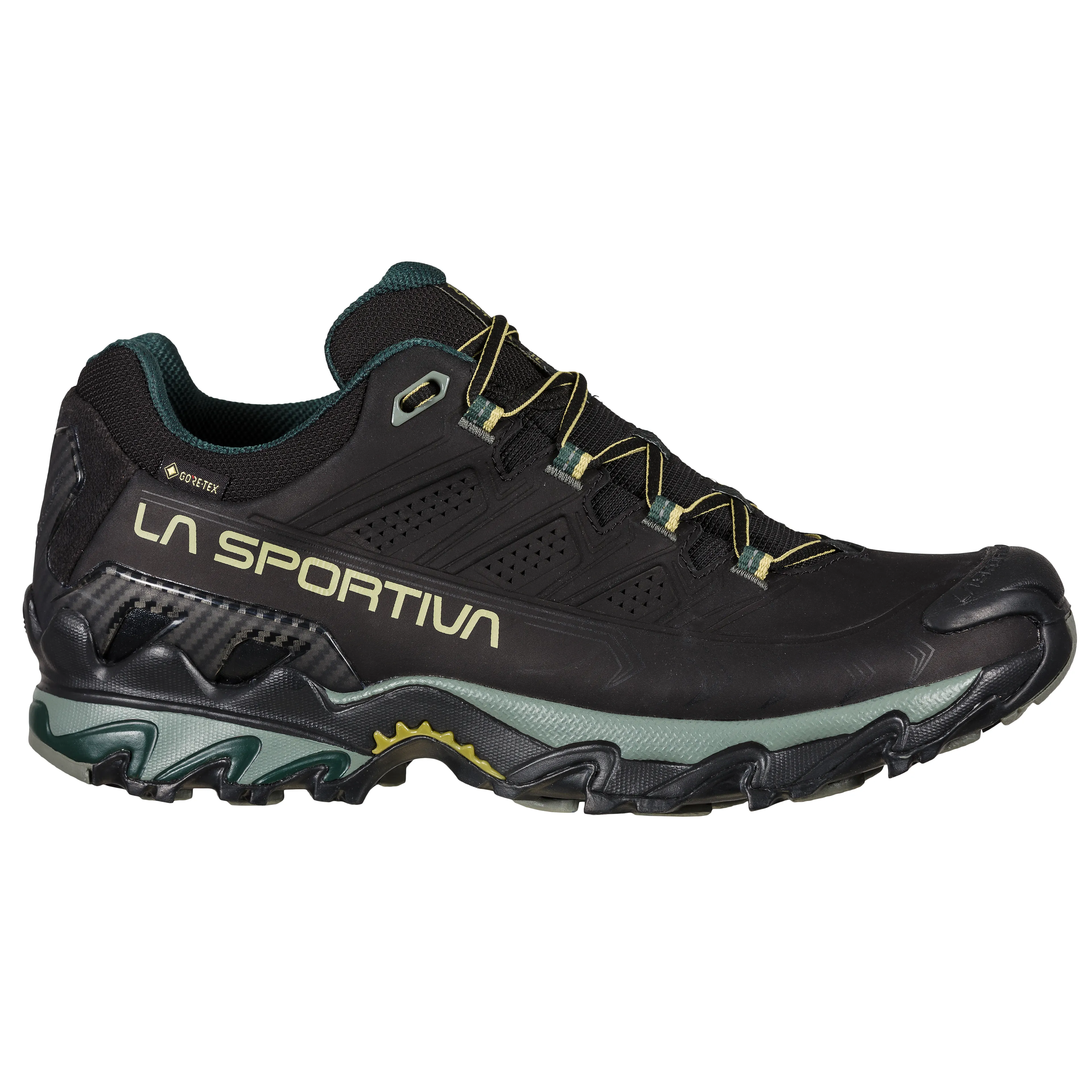 Ultra Raptor II LT GTX terrengløpesko herre