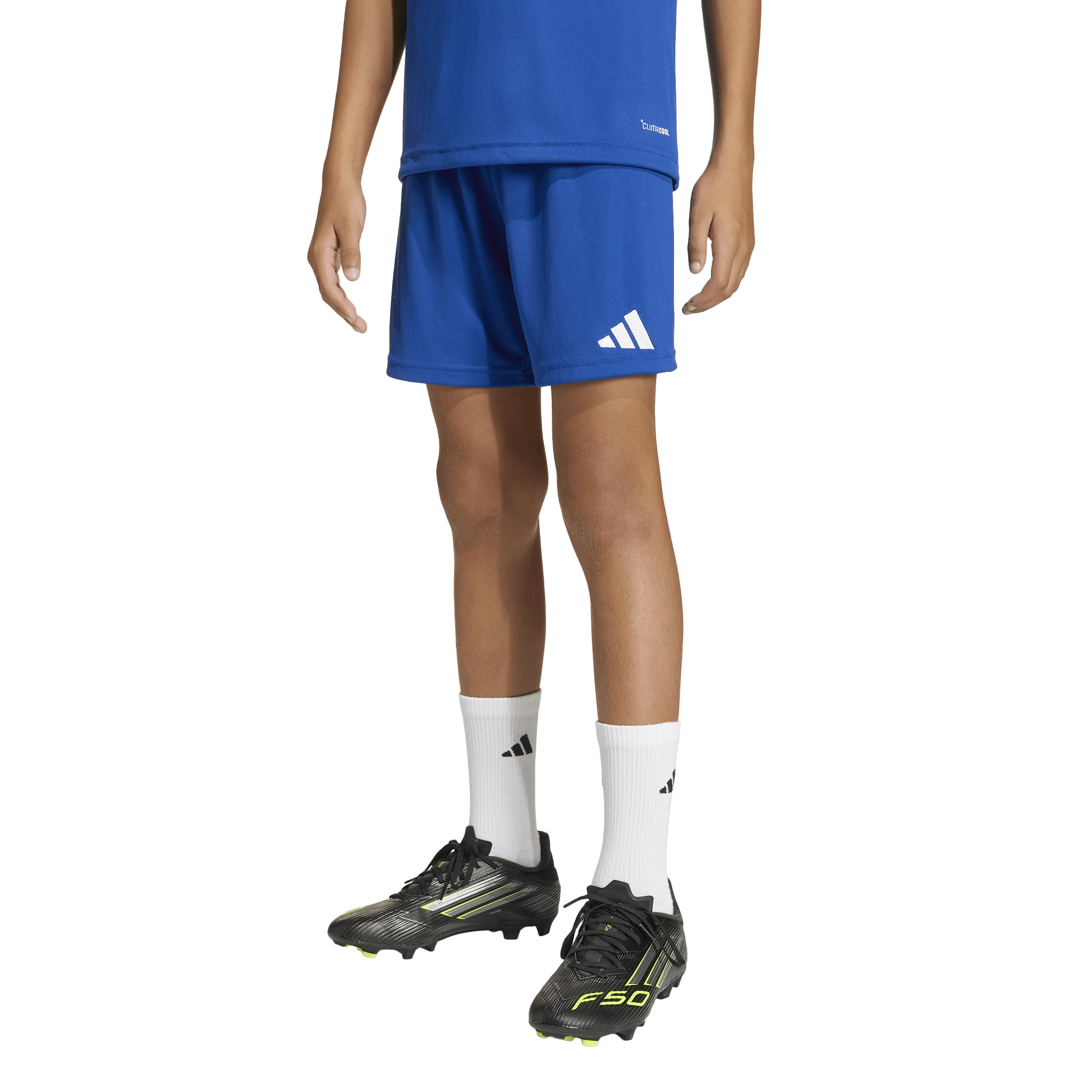 Entrada26 Shorts Junior