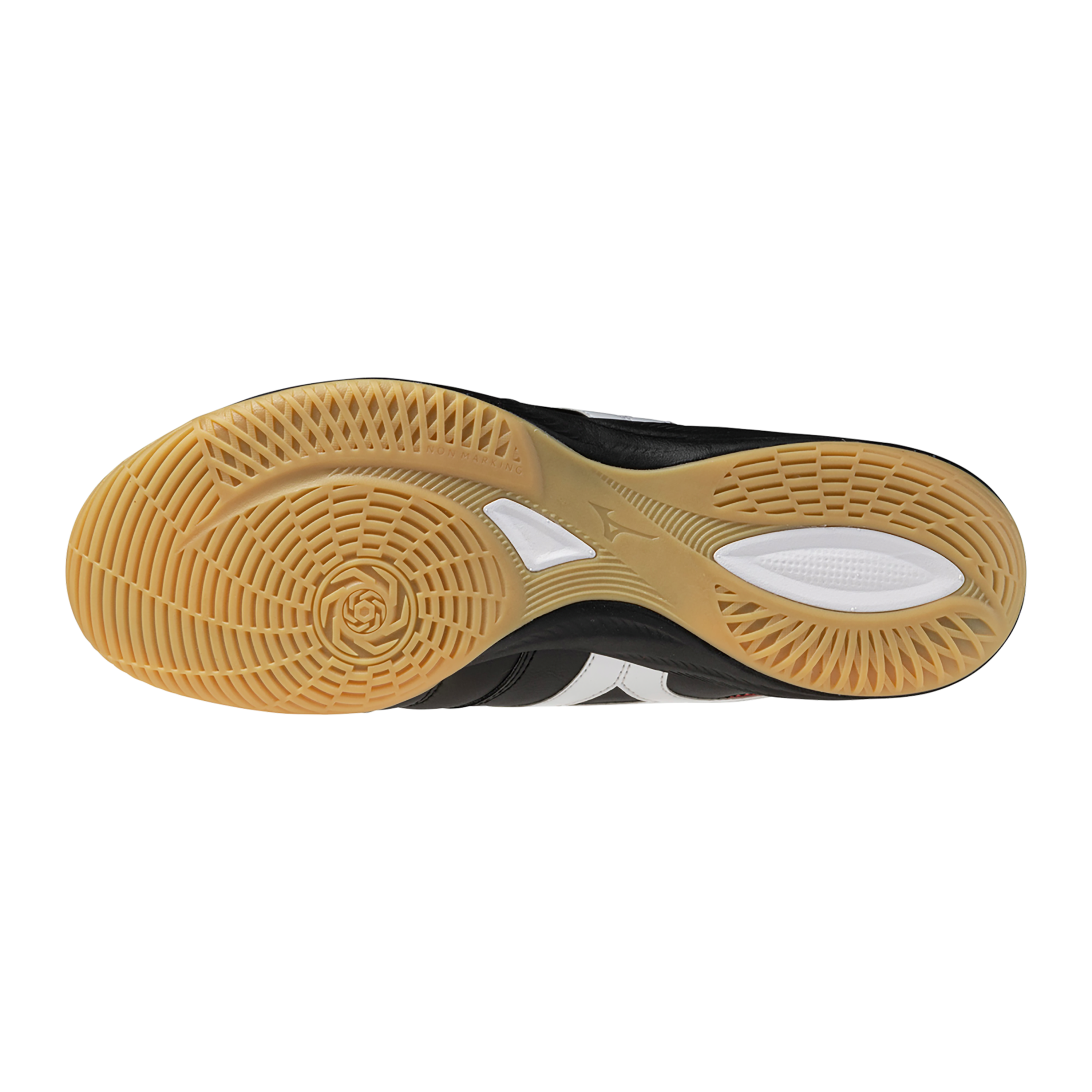MORELIA SALA PRO IN(U)