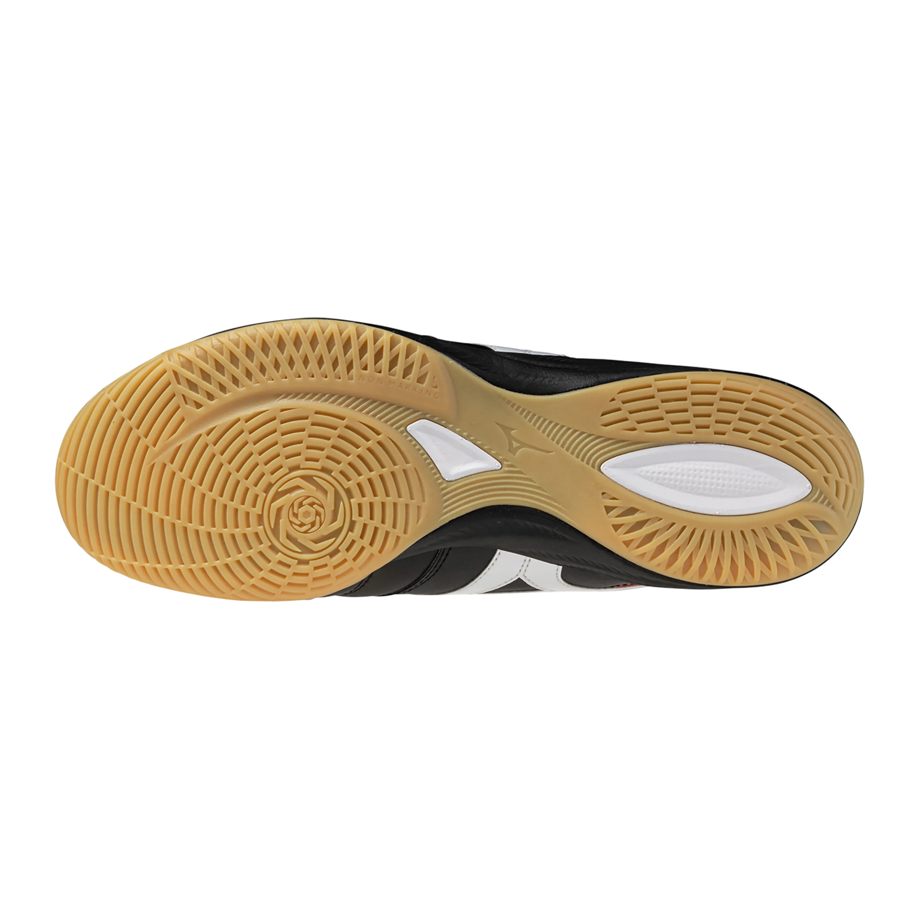 MORELIA SALA PRO IN