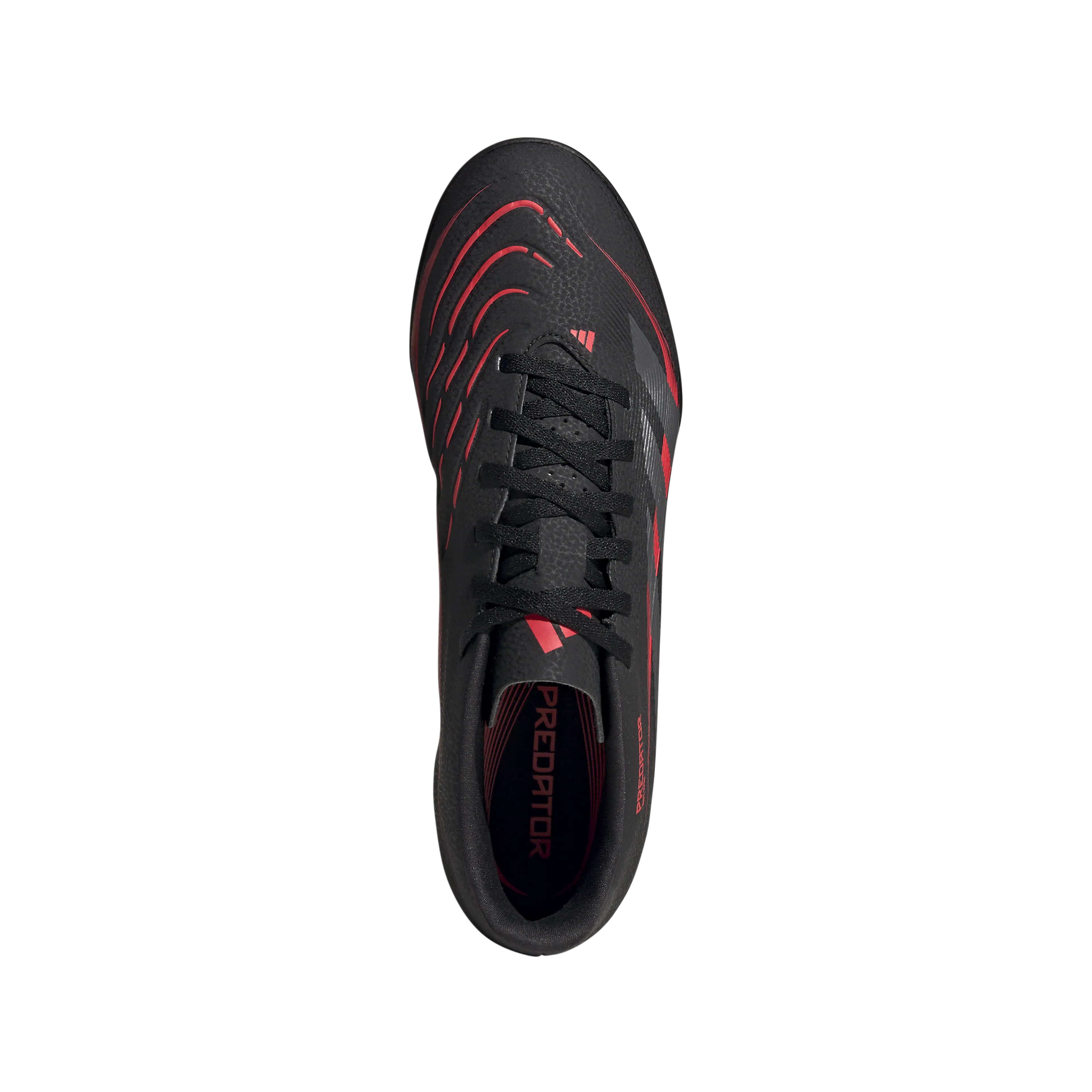 PREDATOR CLUB TF