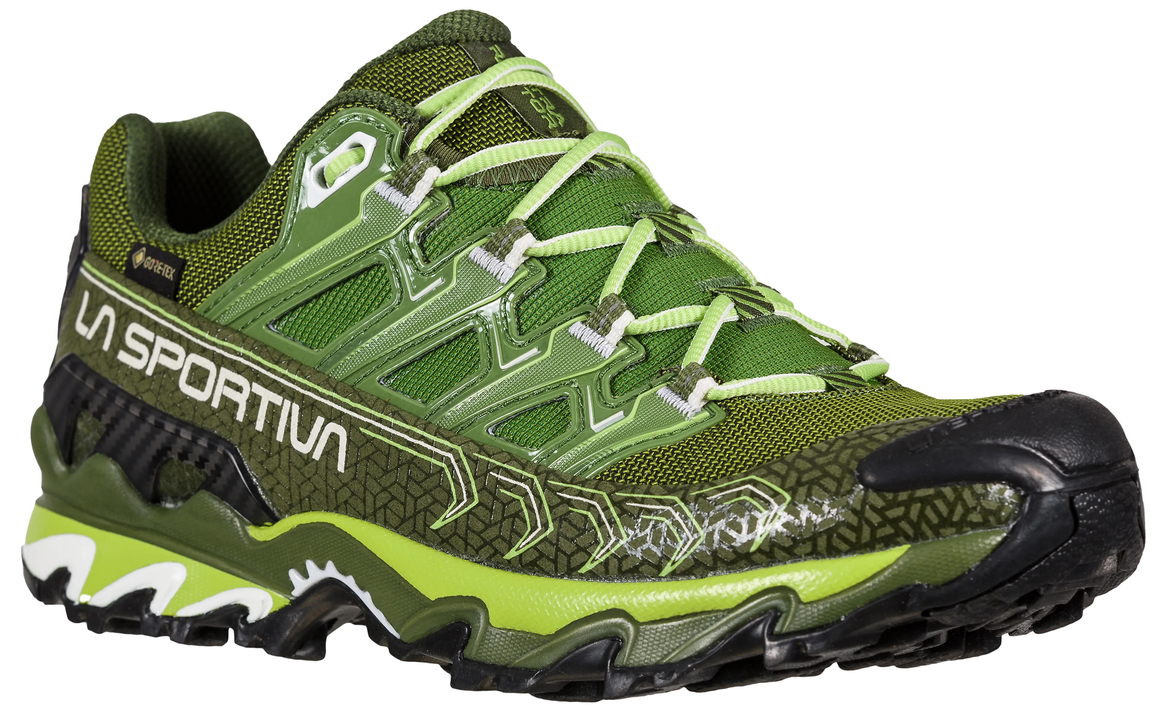 Ultra Raptor II GTX W's Hikingsko