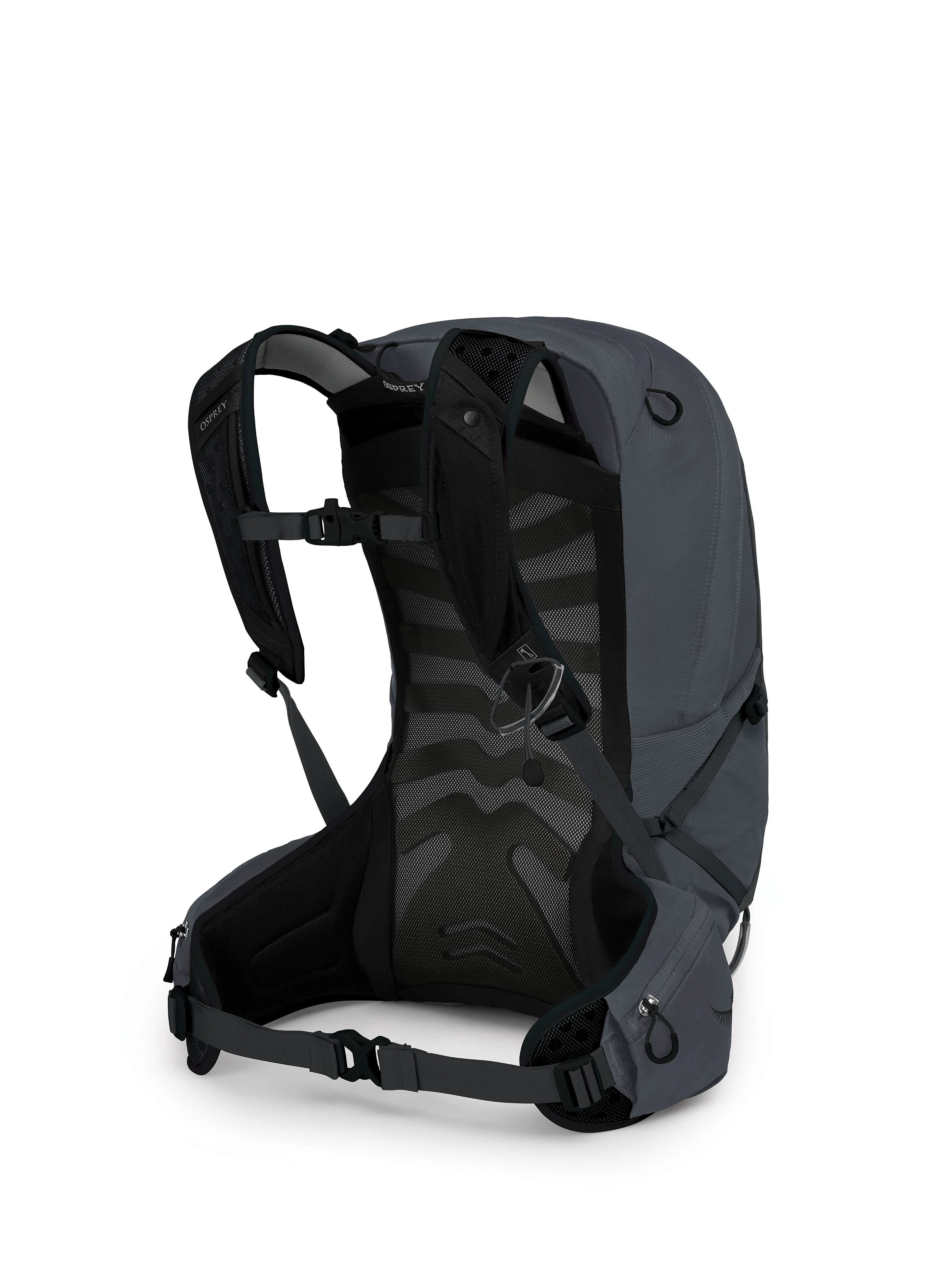 Talon 22