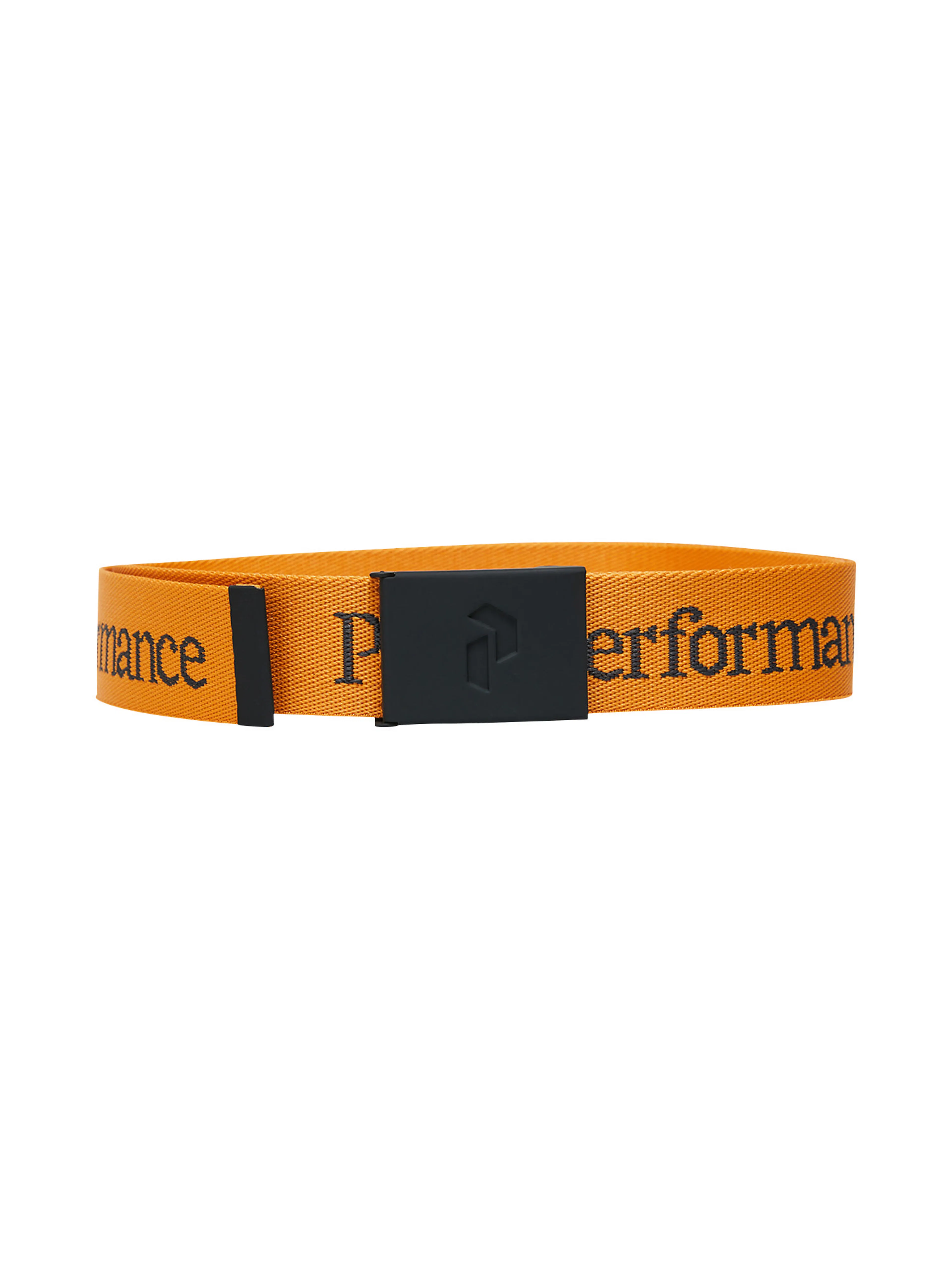 Rider Belt