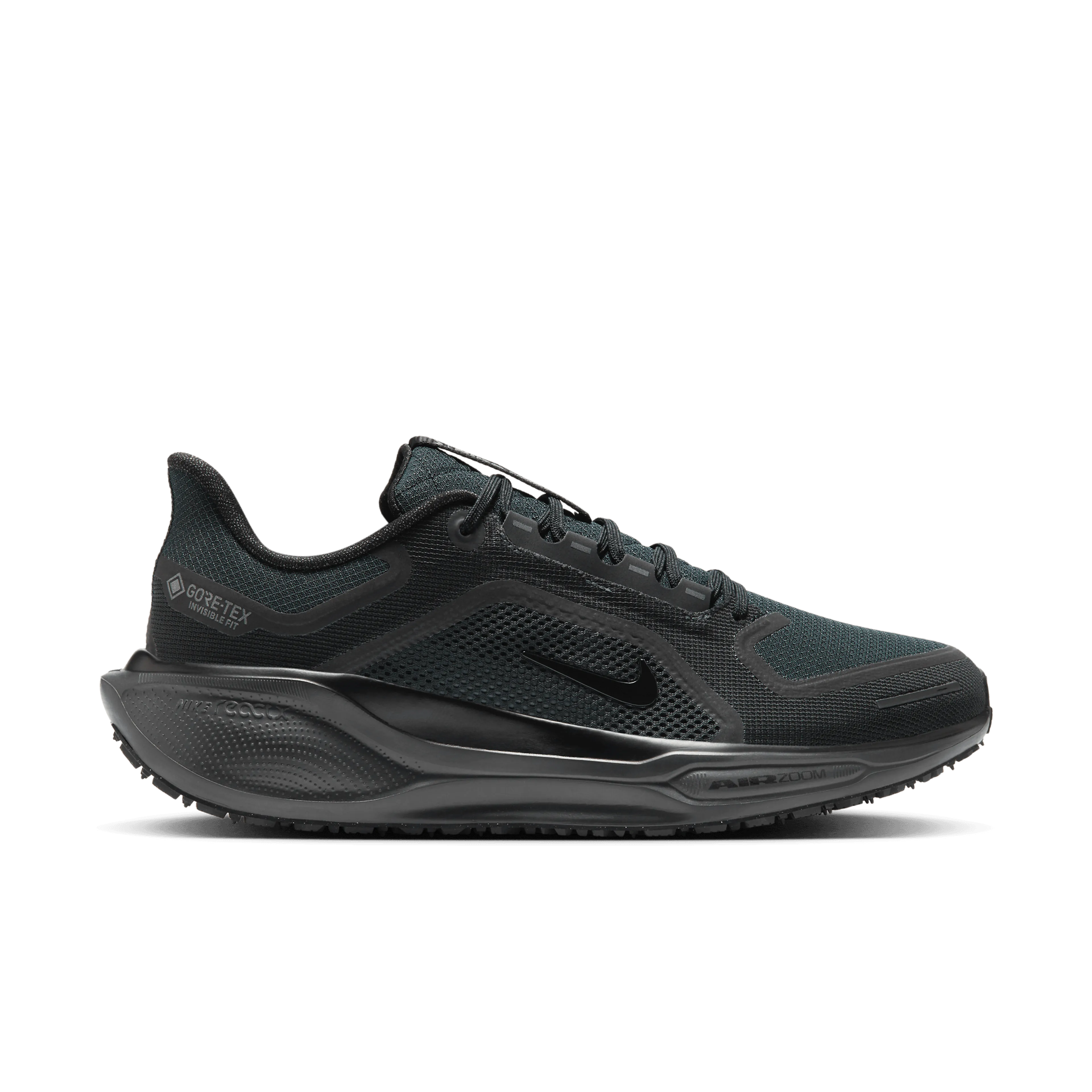 Pegasus 41 GORE-TEX