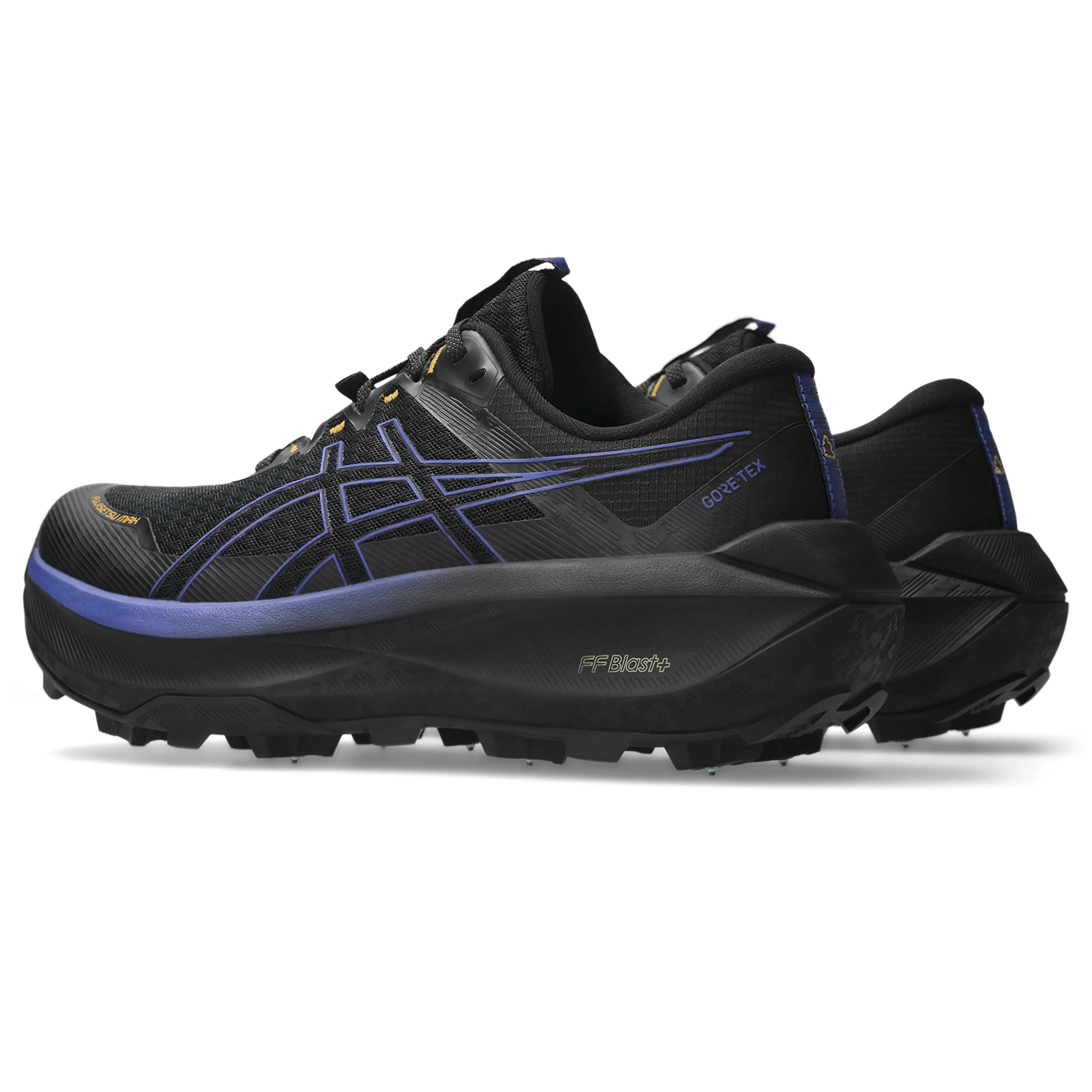 FUJISETSU MAX GTX