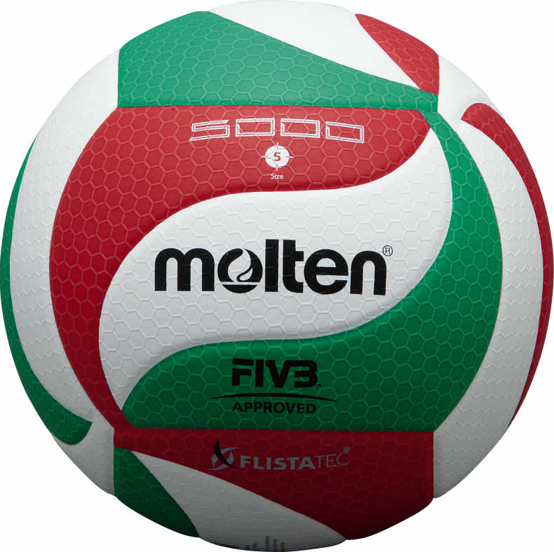 Volleyball M5000