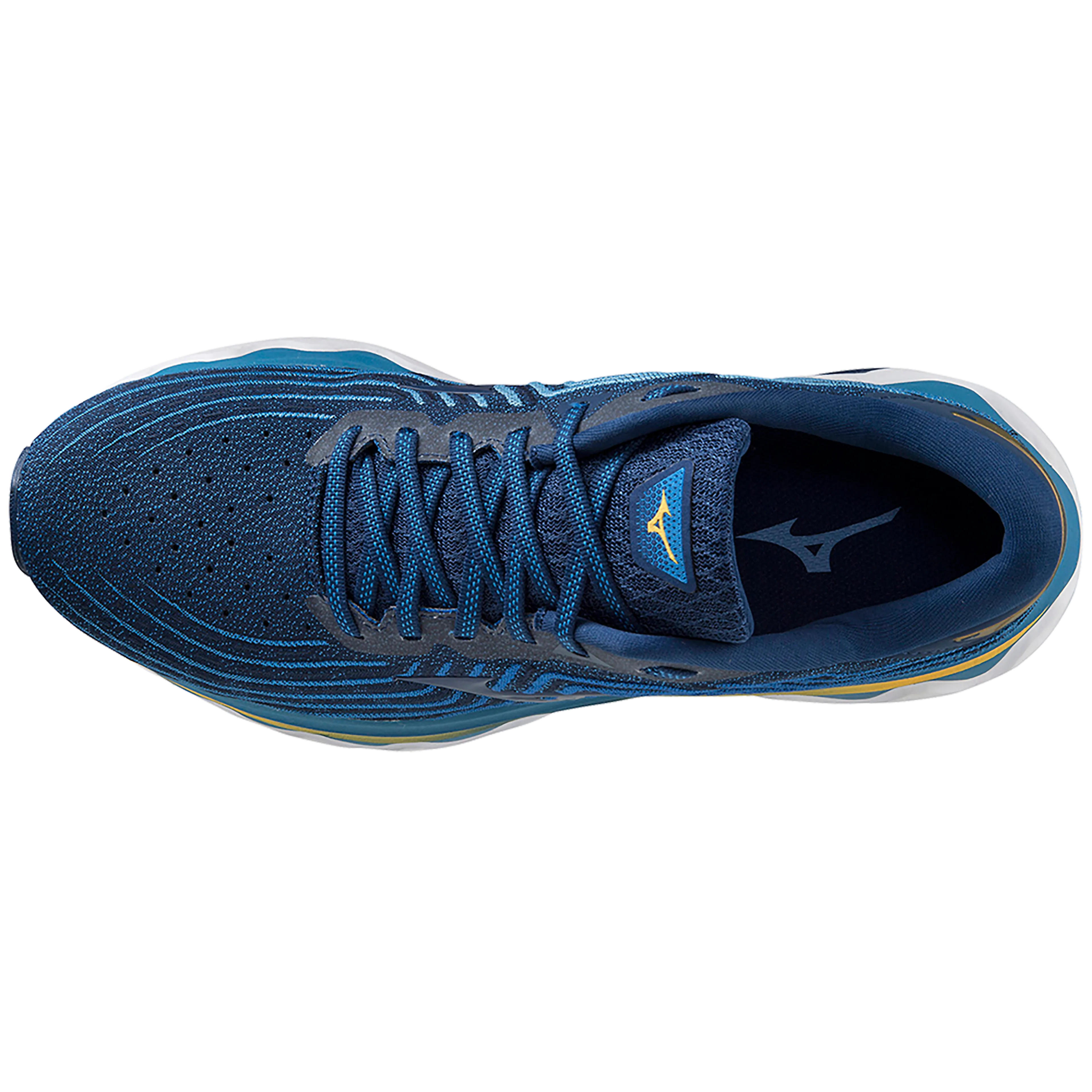 WAVE HORIZON 6
