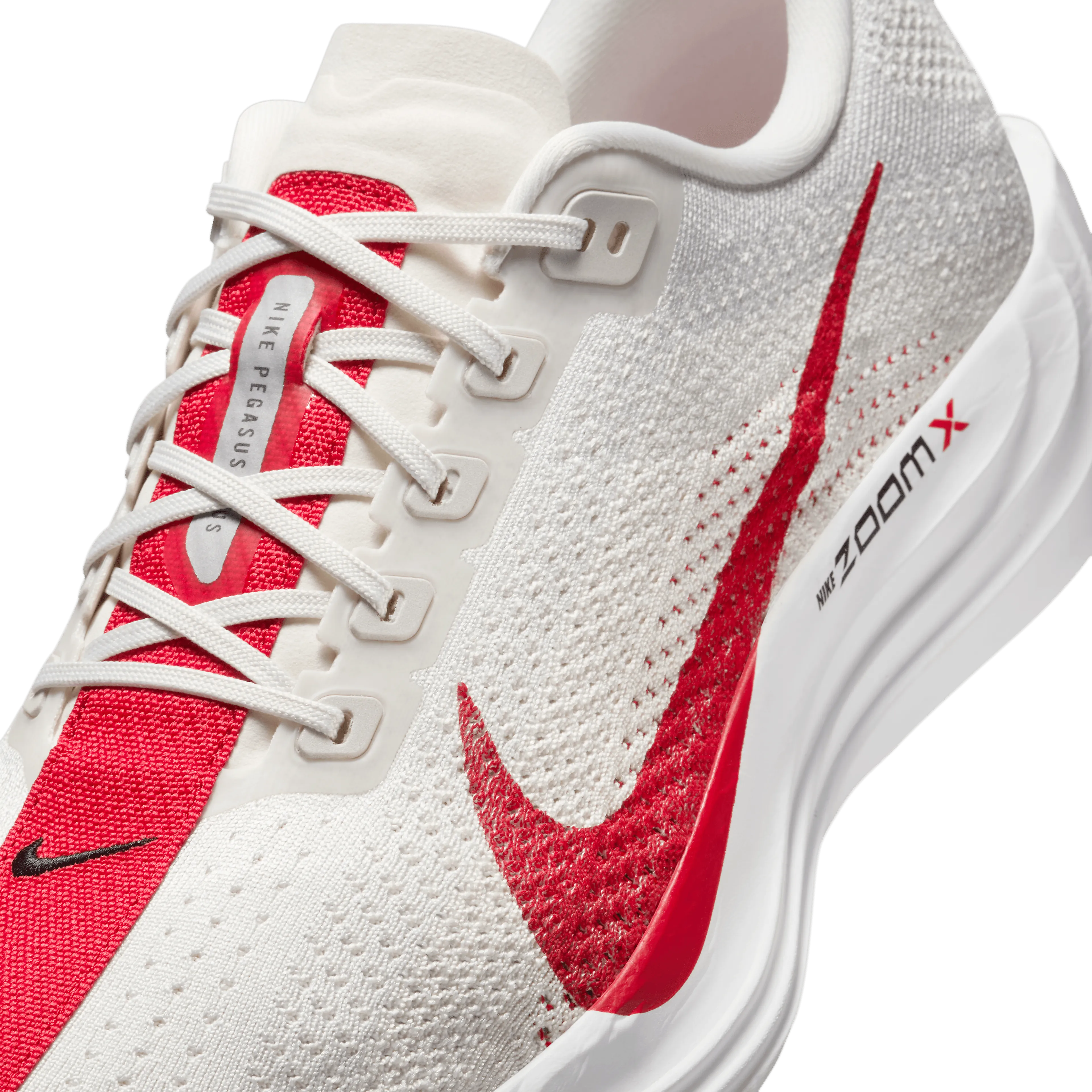 PEGASUS PLUS