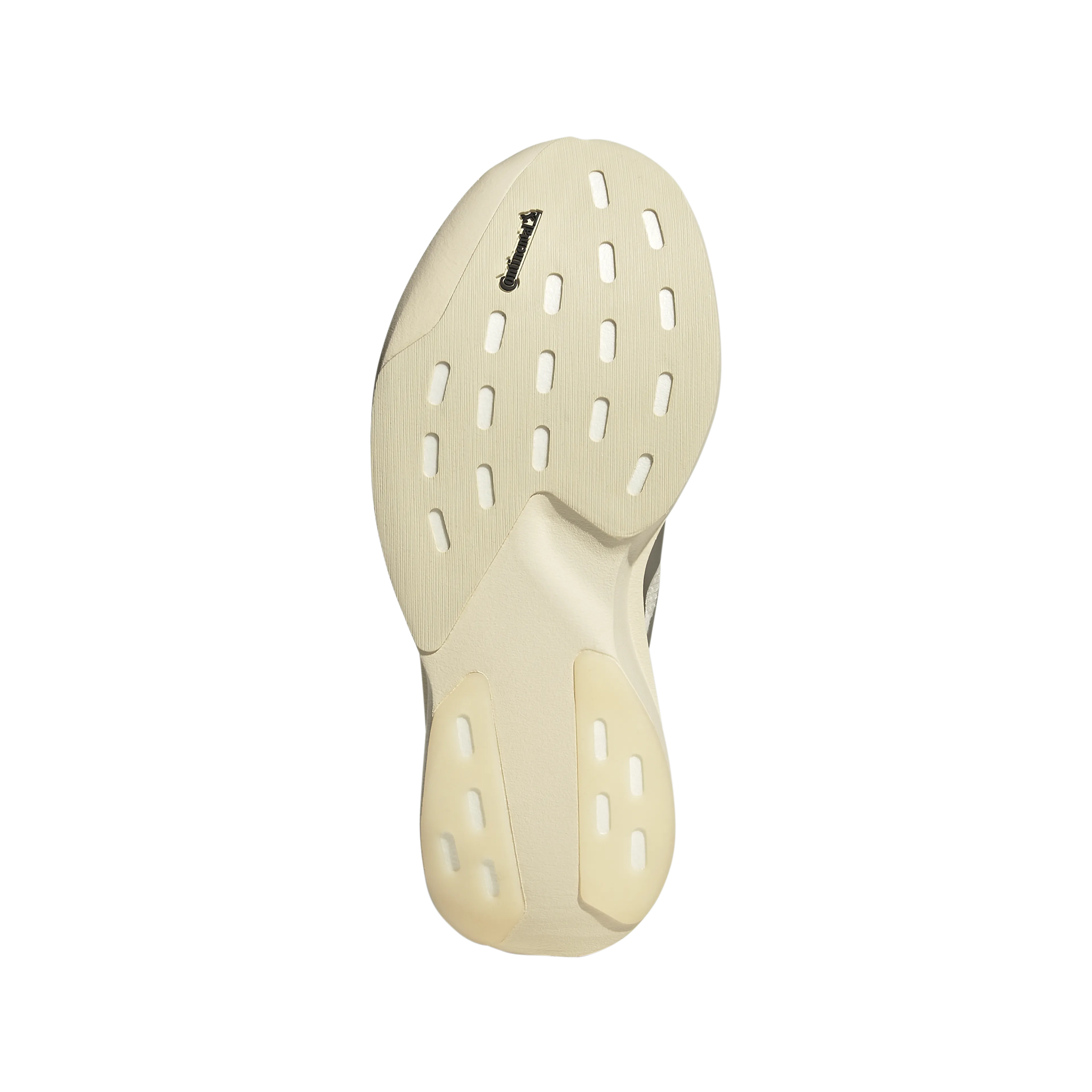 adizero Evo SL