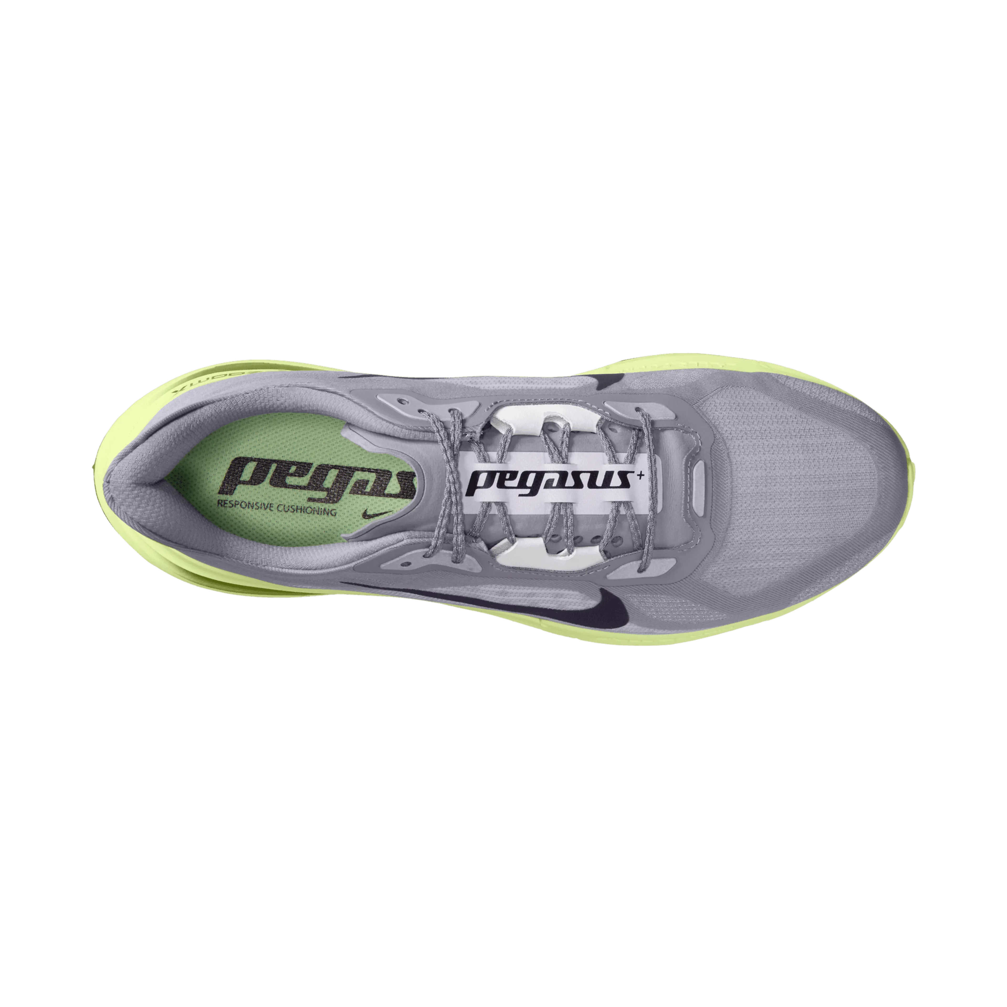 PEGASUS PLUS 2 RSG