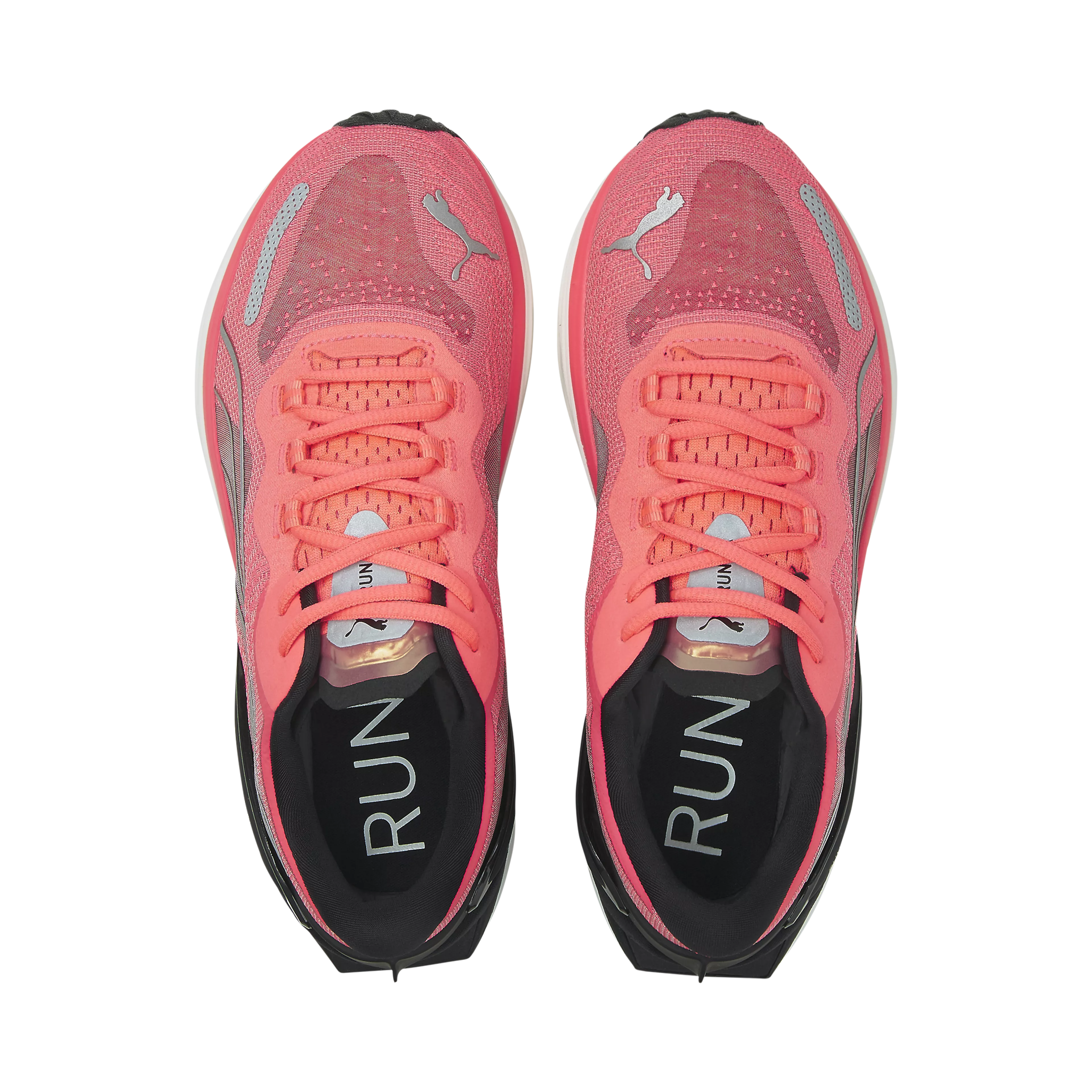 Run XX Nitro