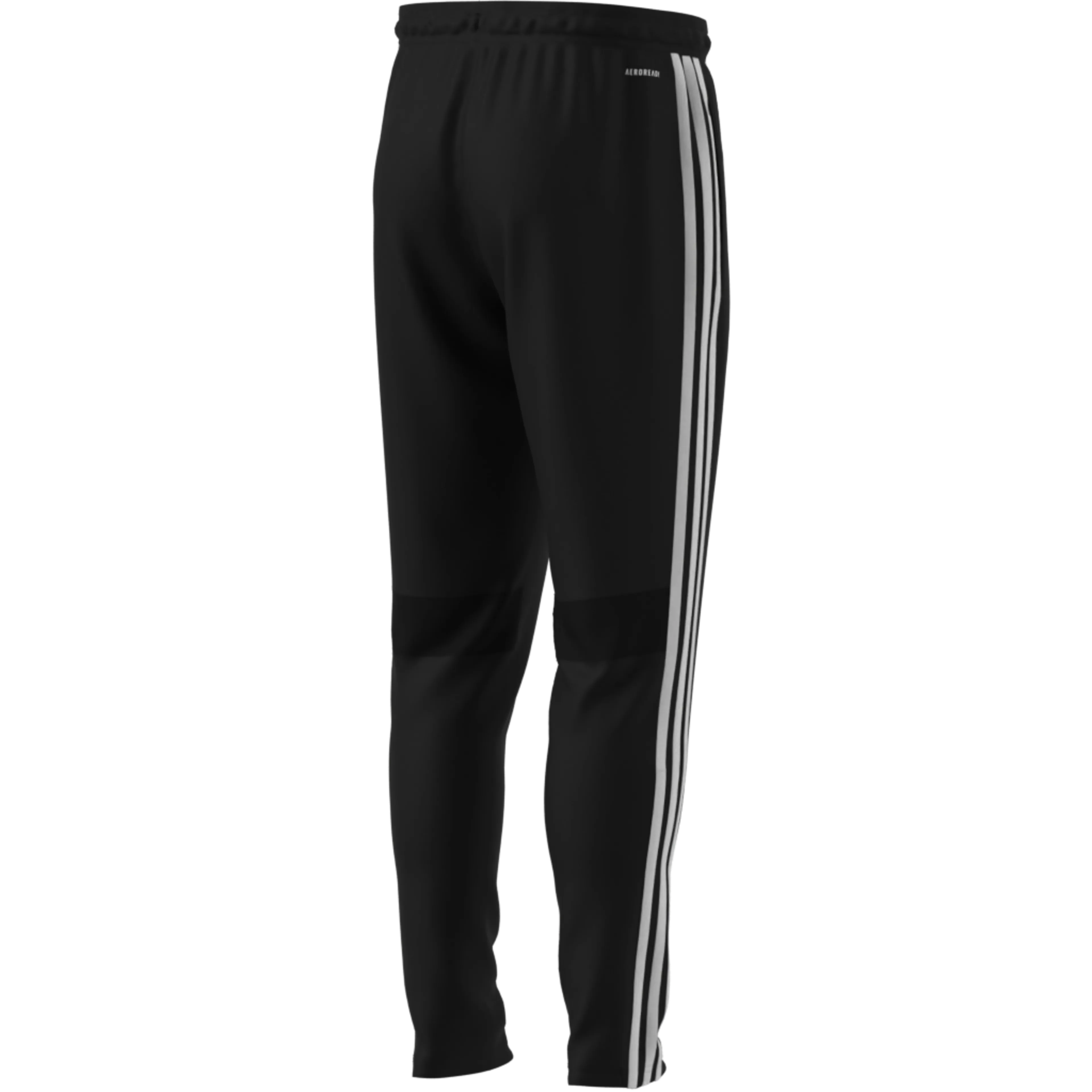 TIRO Essentials Pant
