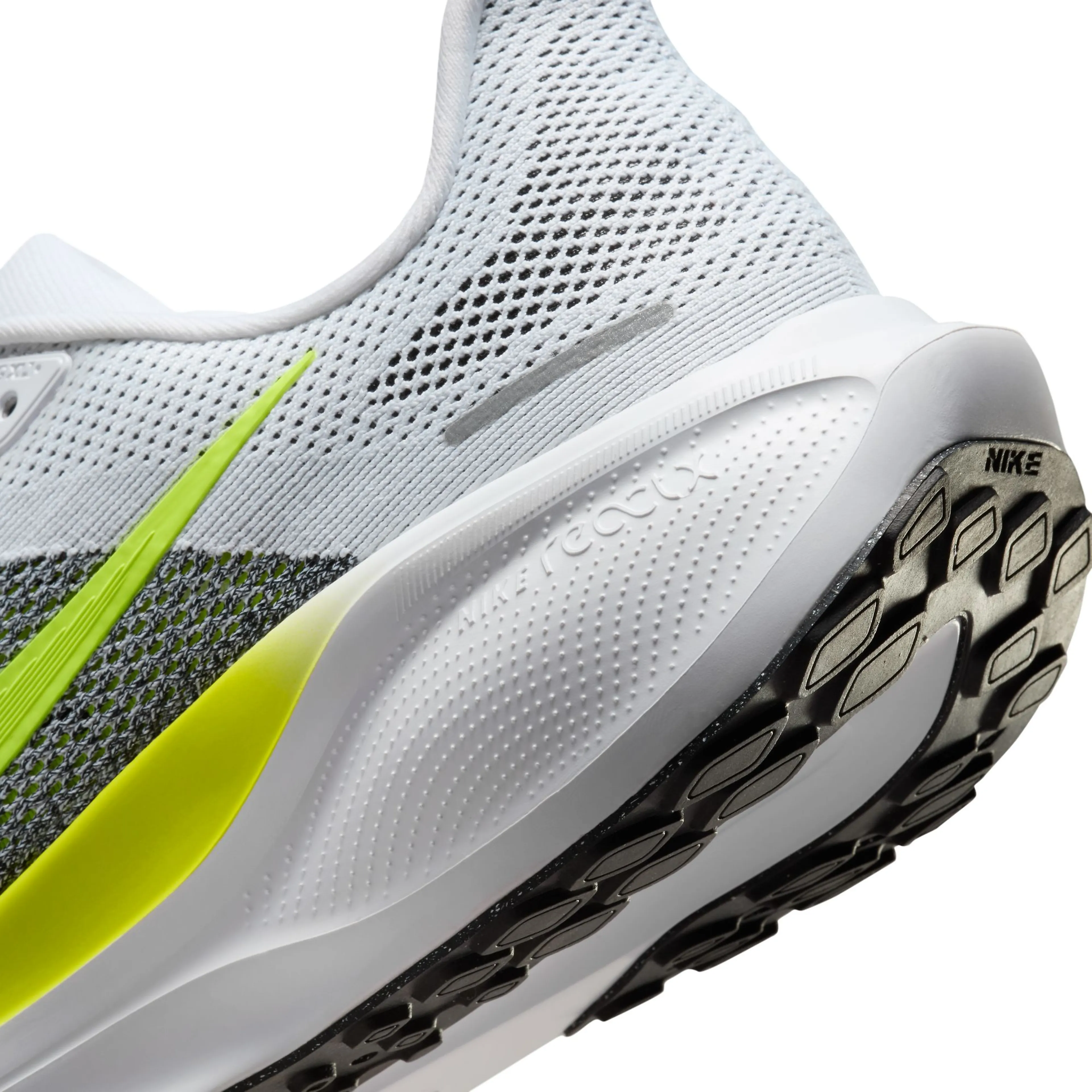  Pegasus 41