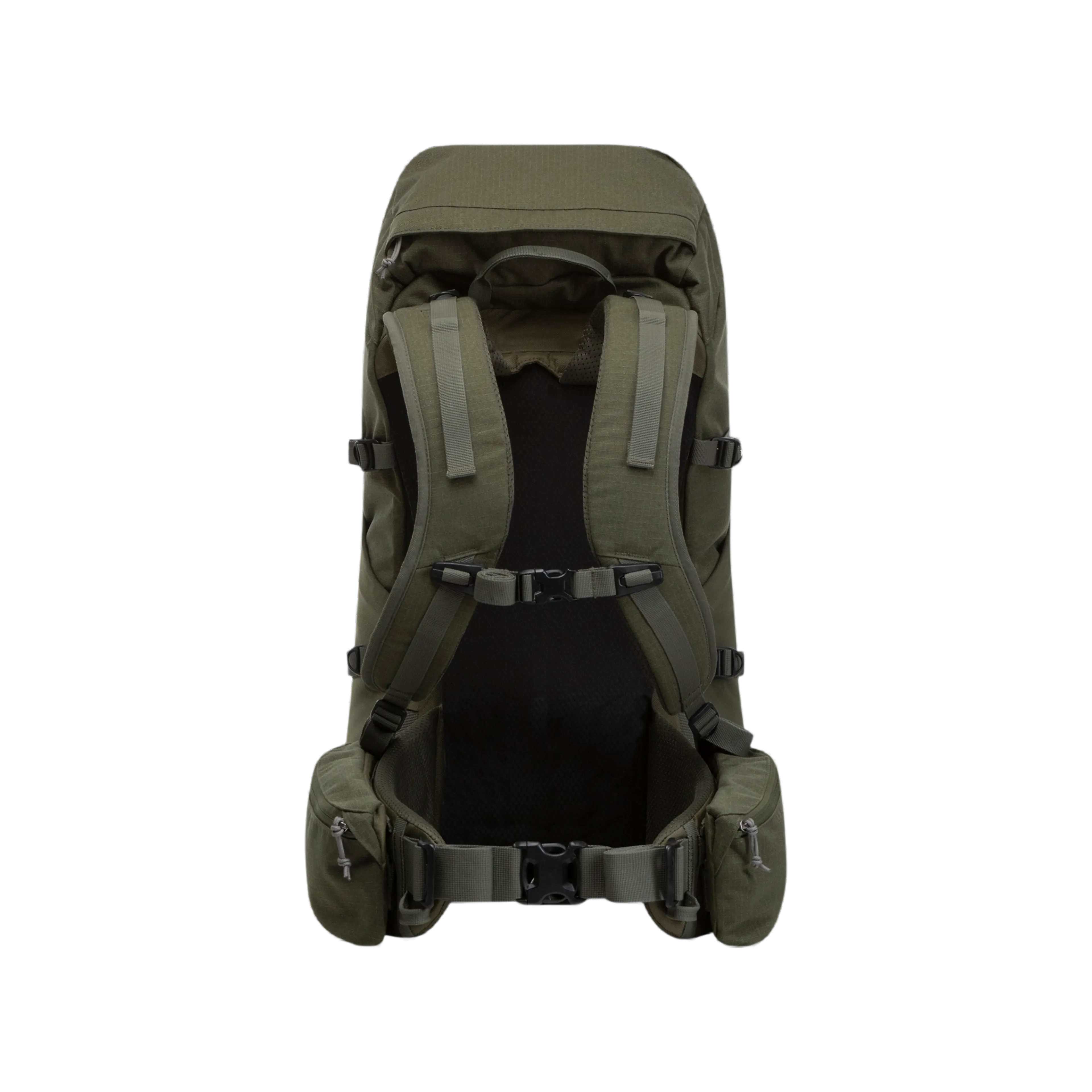 Hogna 35