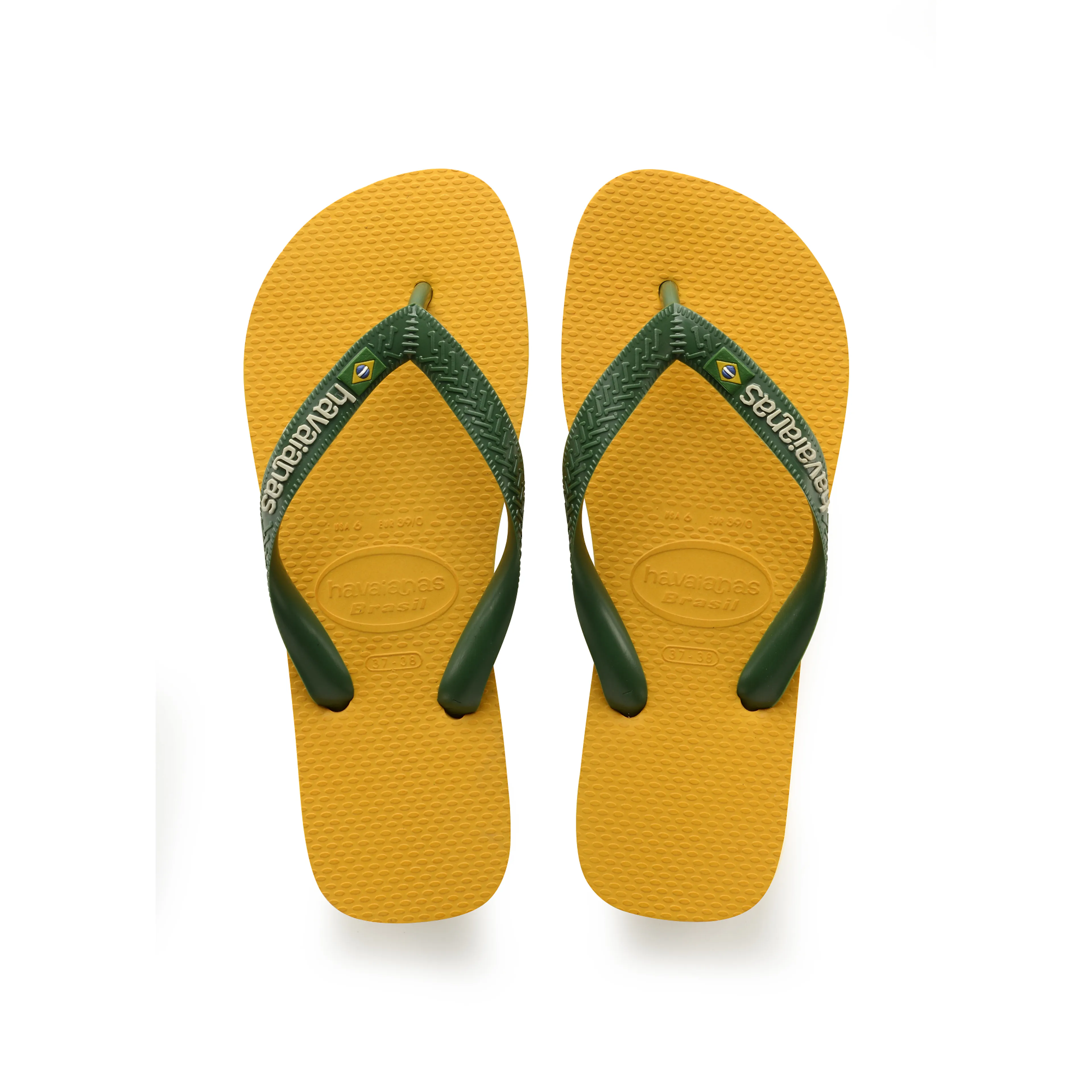 HAV BRASIL LOGO HAV BRASIL LOGO