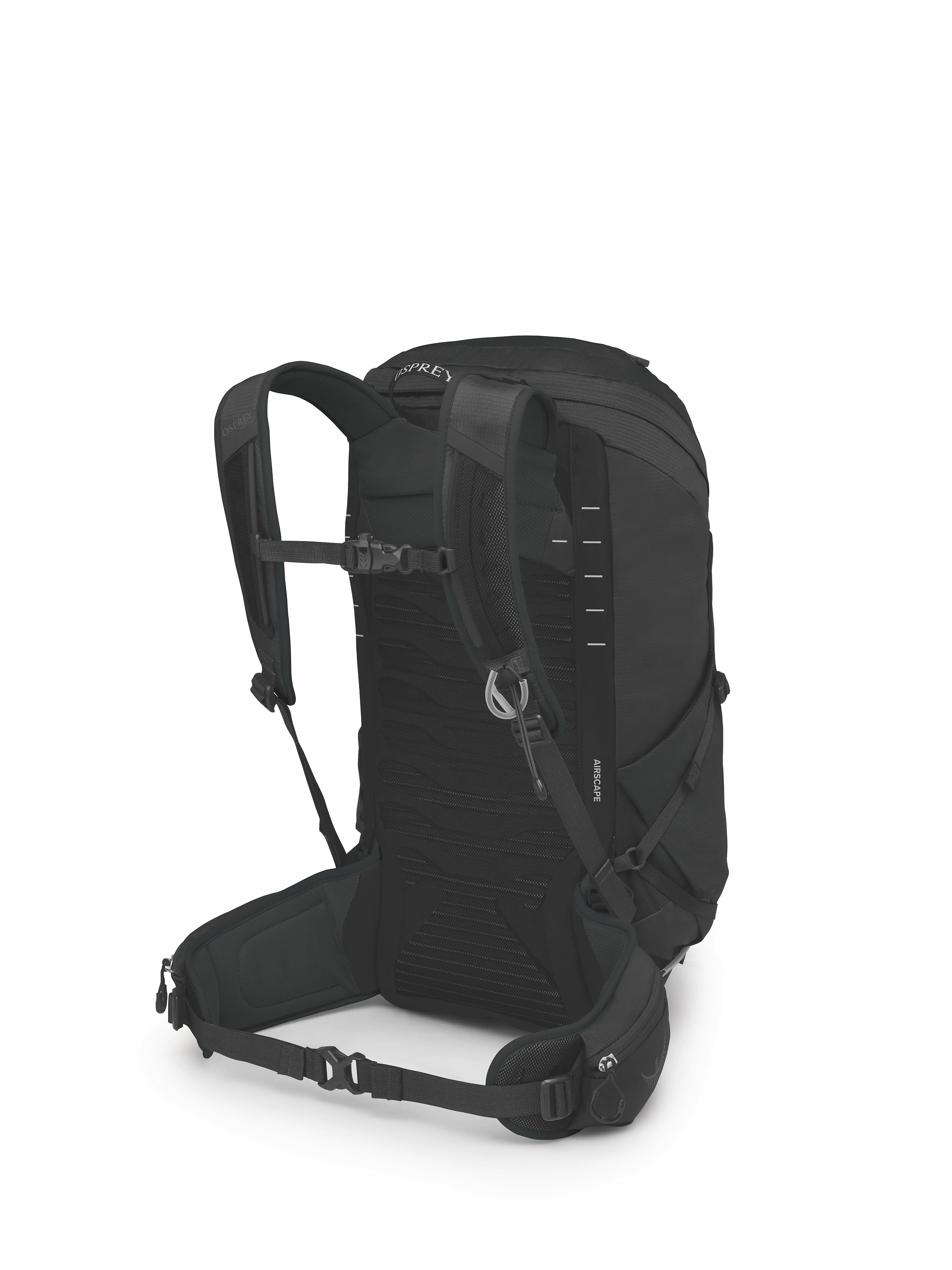 Talon 26