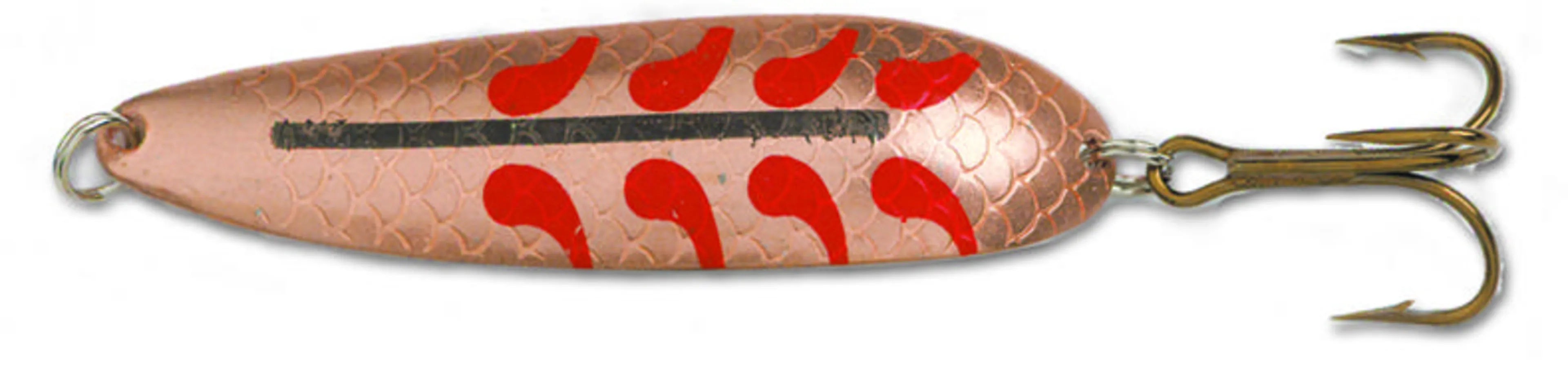 Salamander Trout