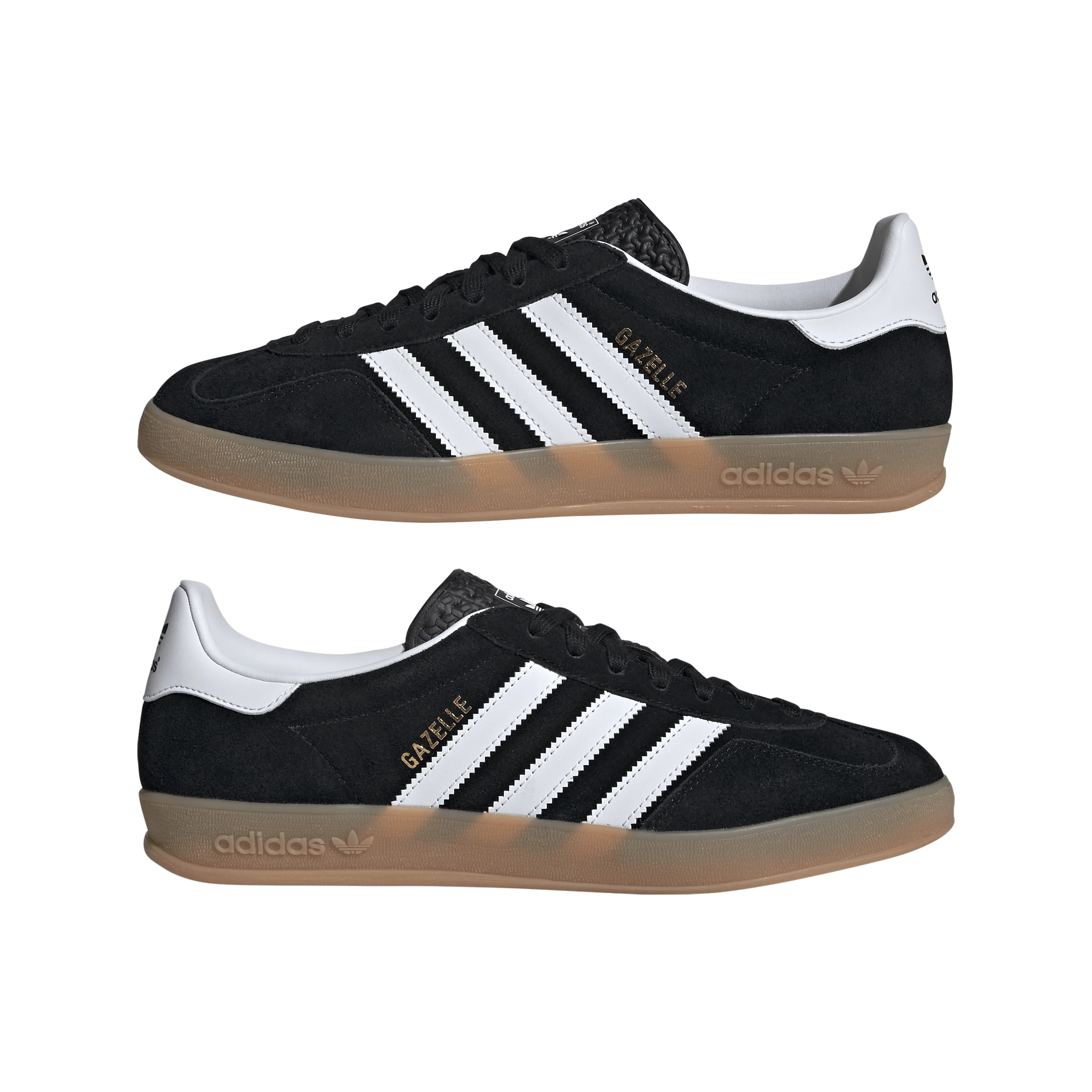 Gazelle 