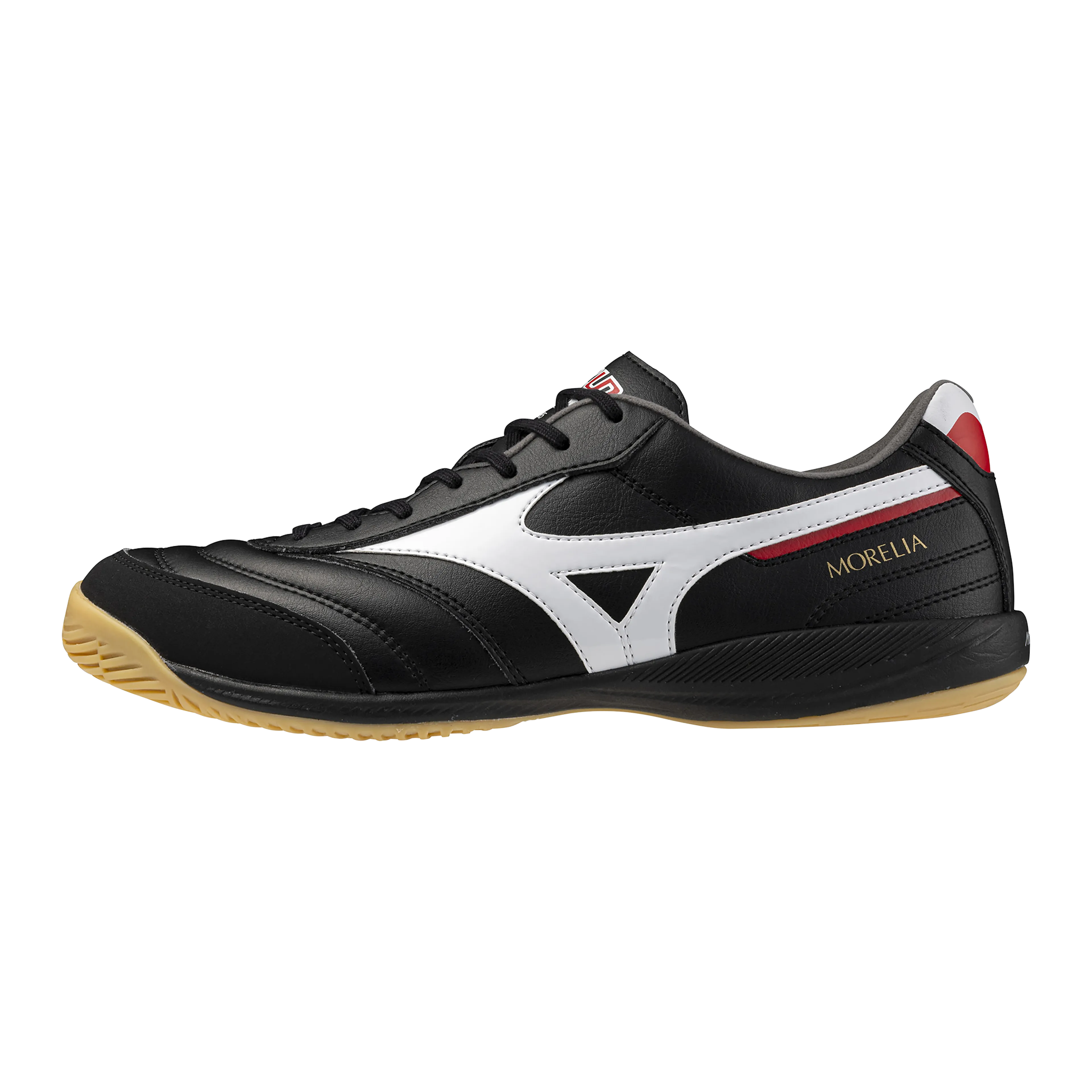 MORELIA SALA PRO IN