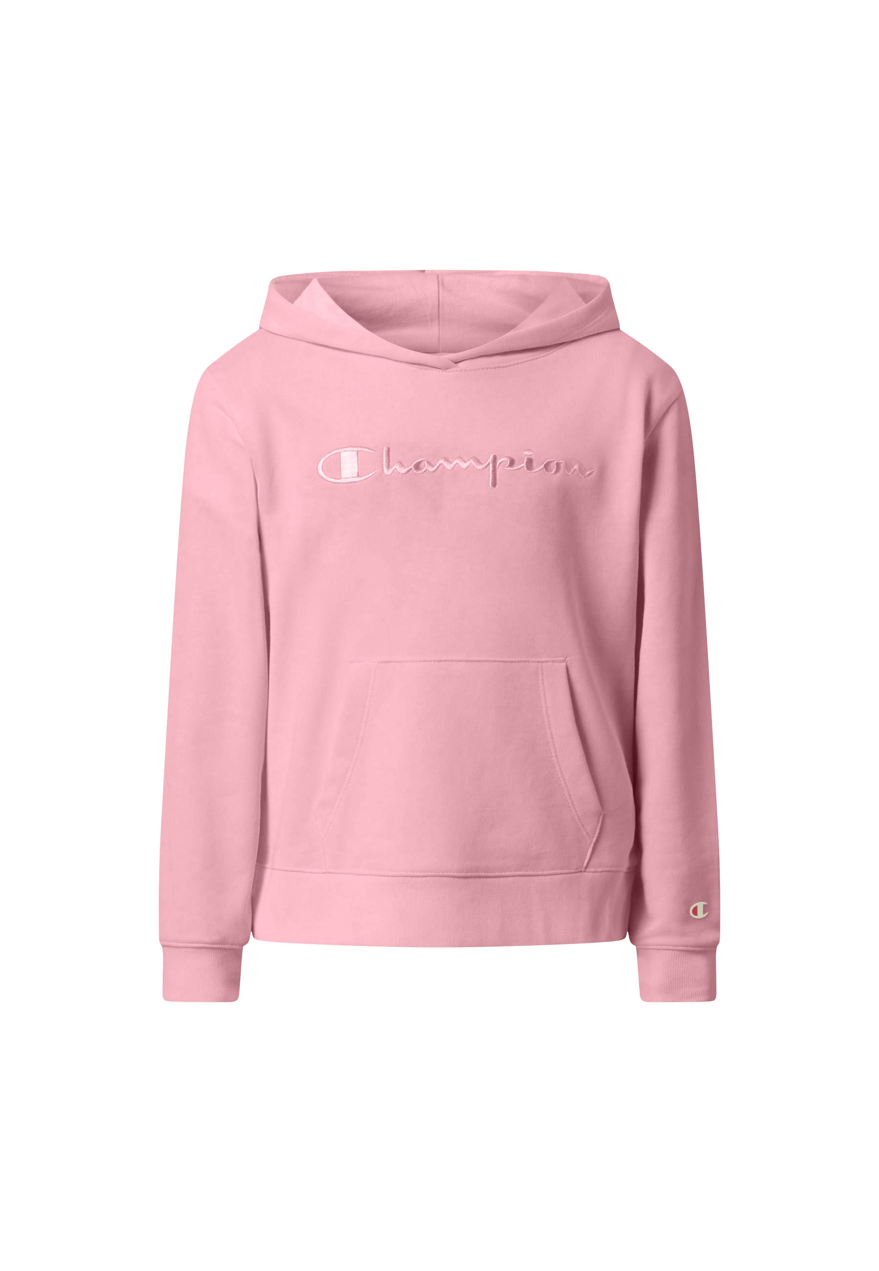 ICONS Terry Hoodie