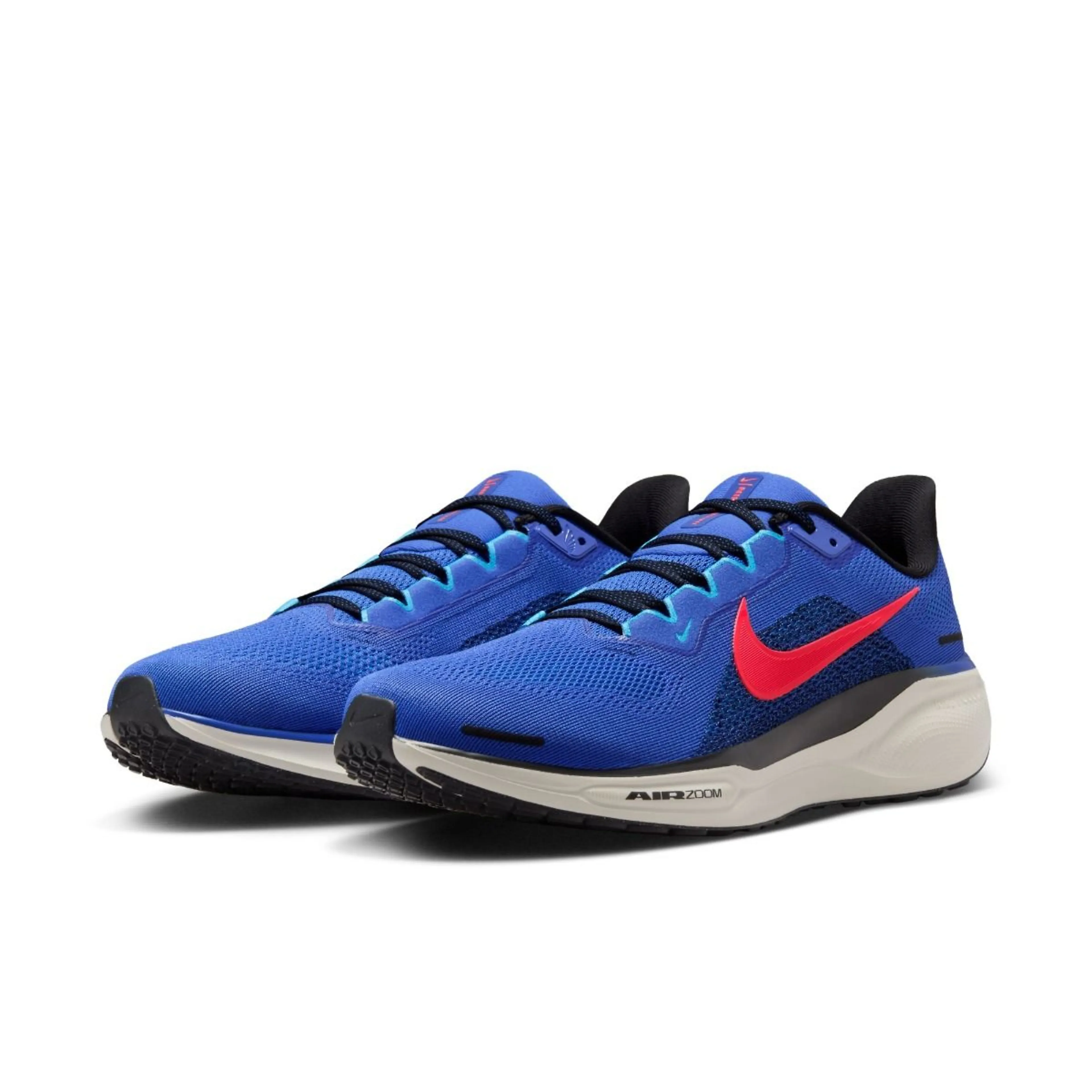  Pegasus 41