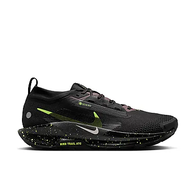 Nike Pegasus Trail GTX 5