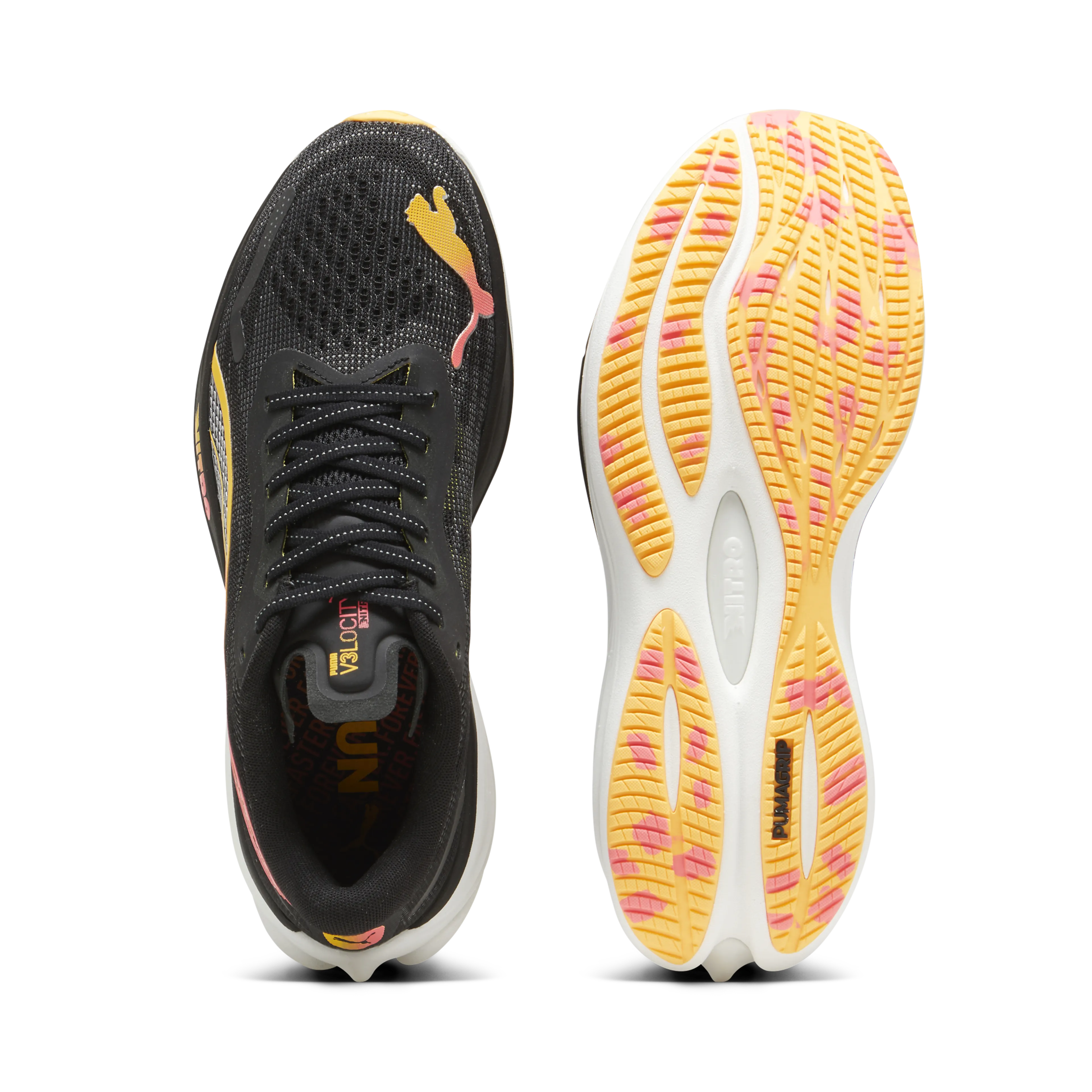 Velocity Nitro 3