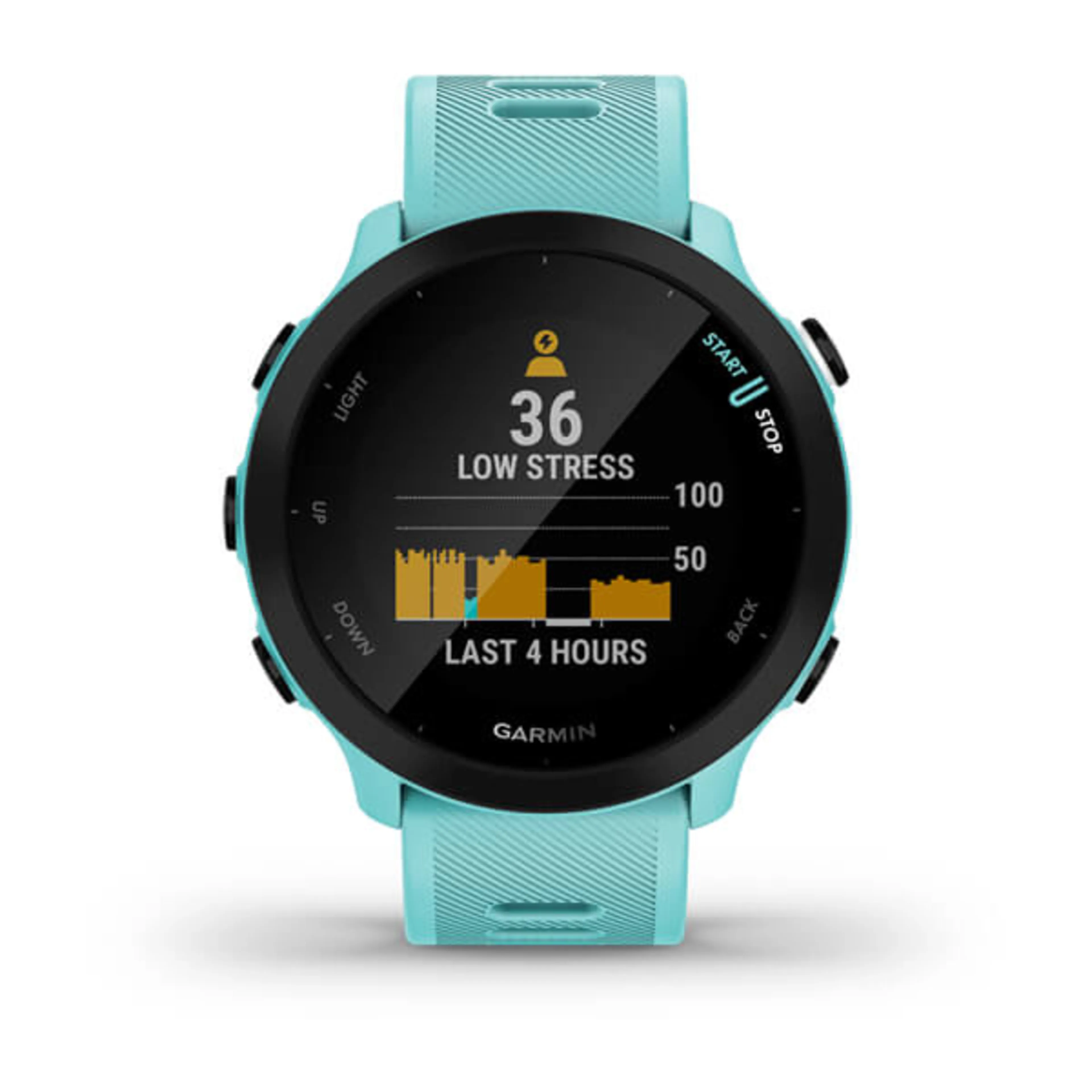 Forerunner 55 GPS Forerunner 55 GPS