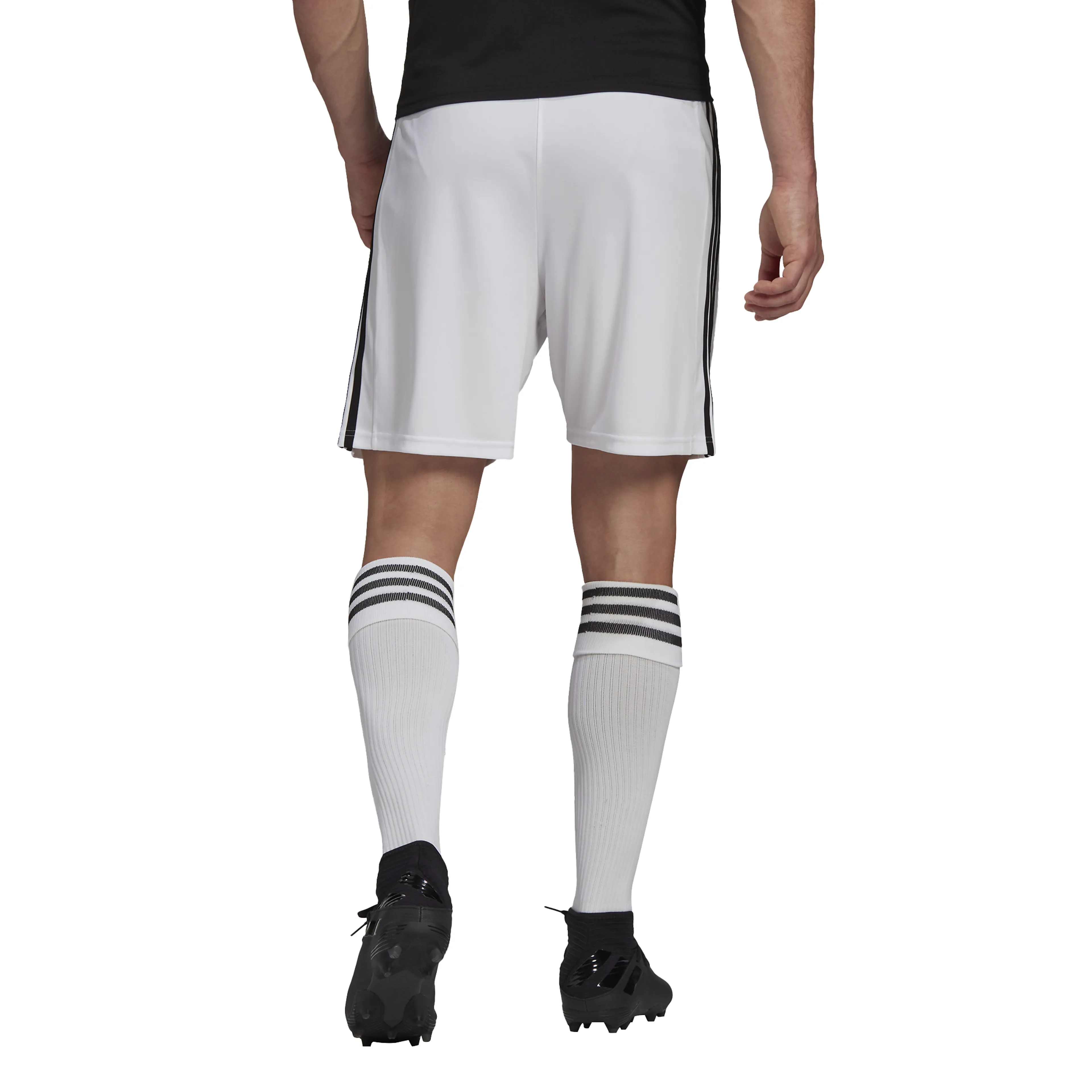 Squadra 21 shorts herre
