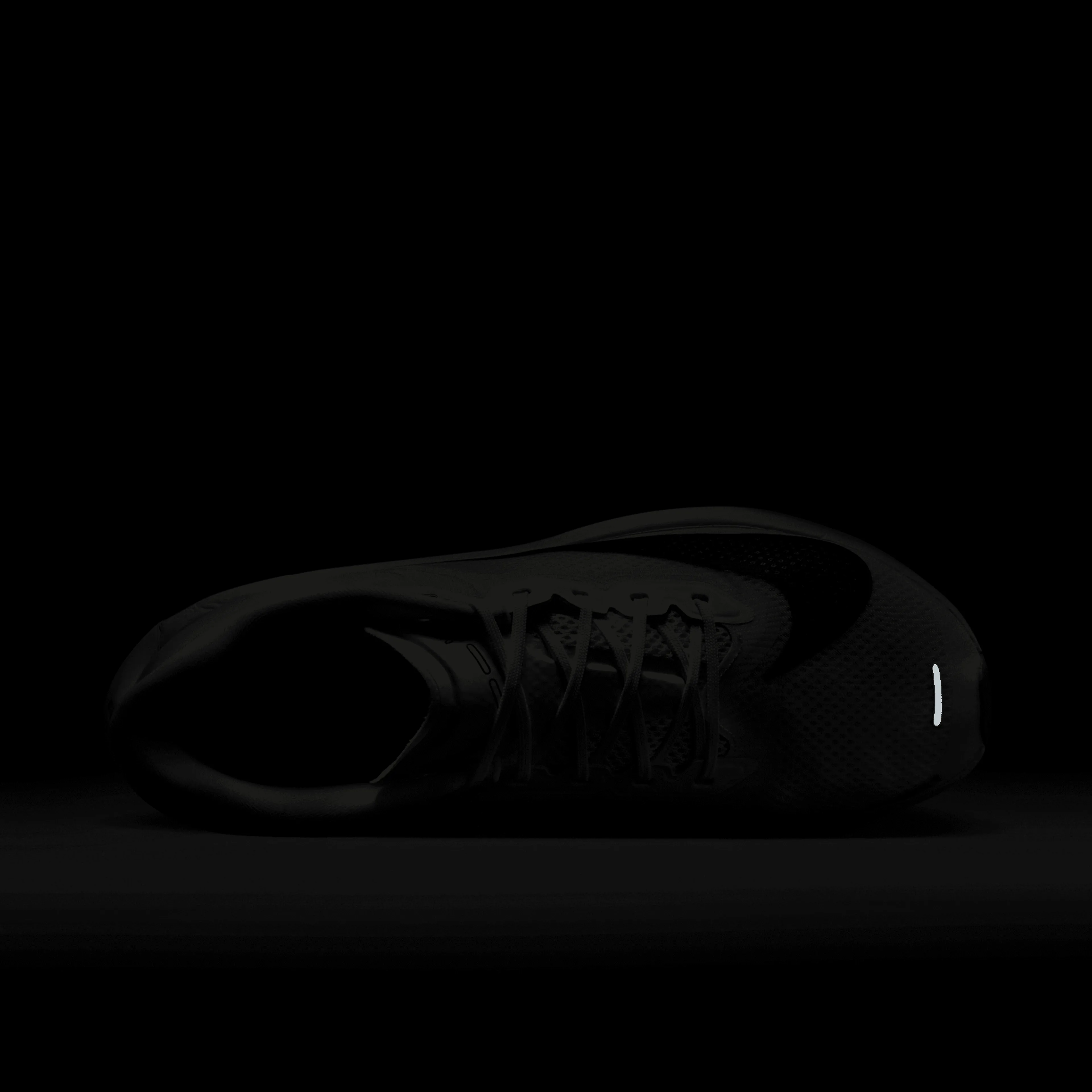 ZOOM FLY 6 EK