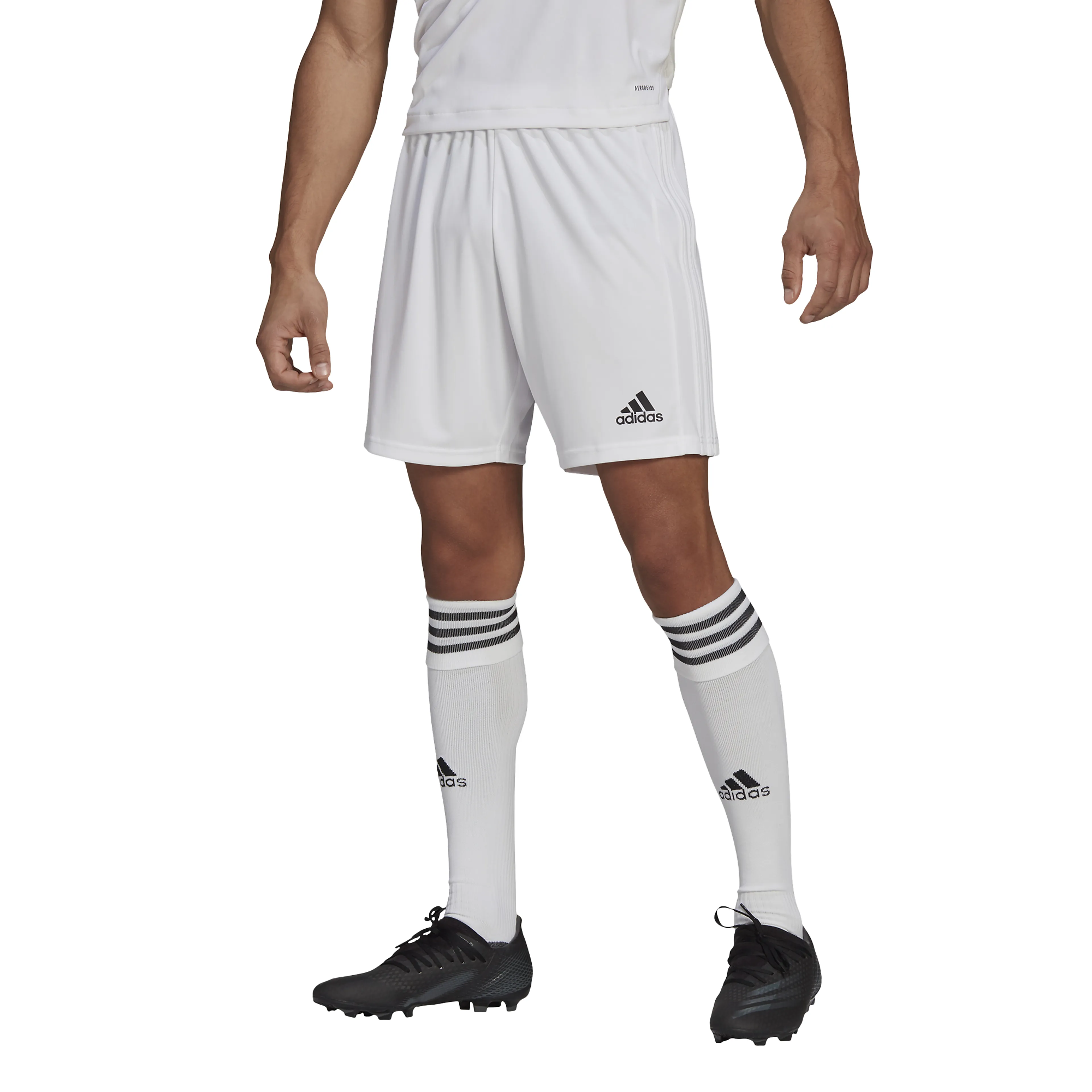 Squadra 21 shorts herre