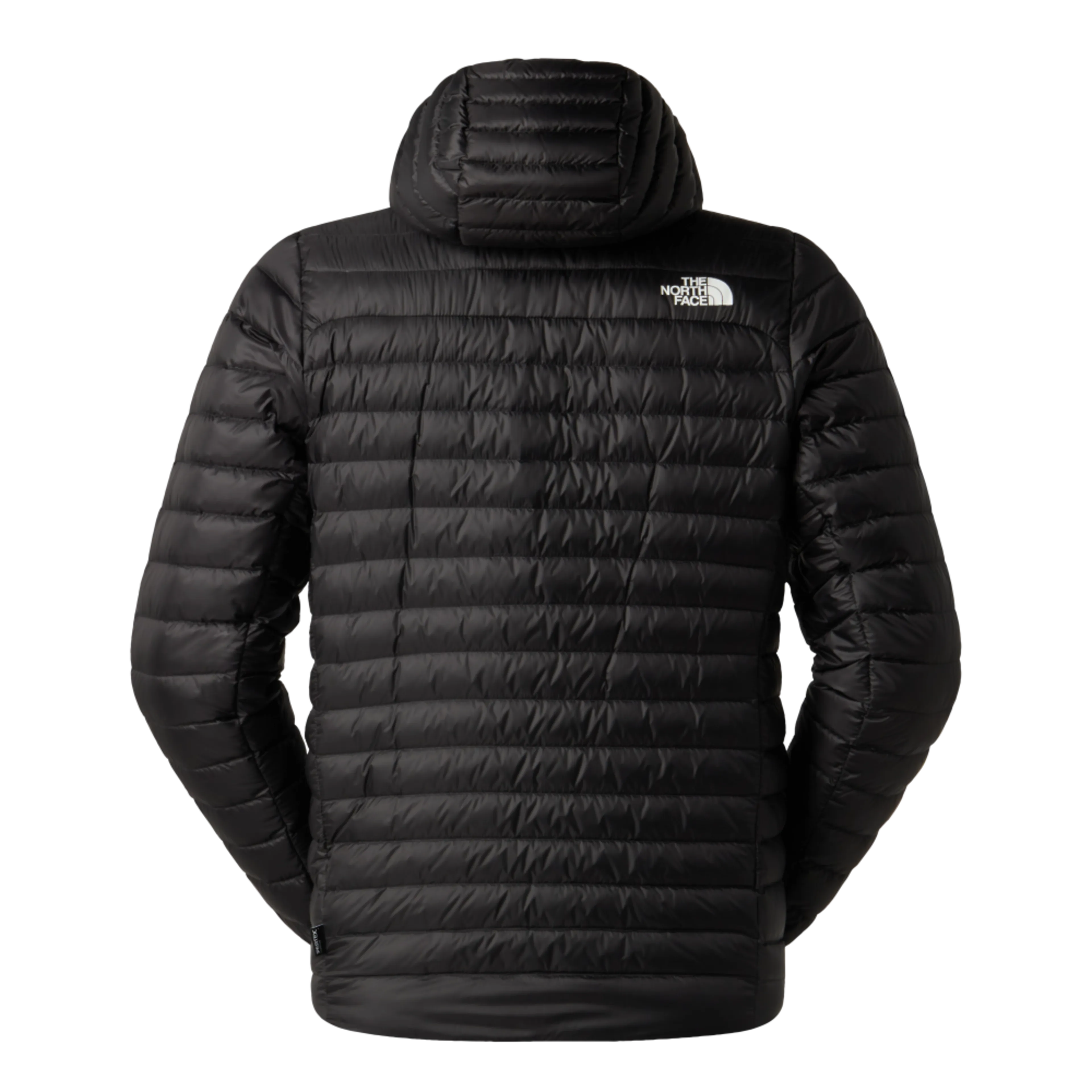 M BETTAFORCA LT DOWN HOODIE