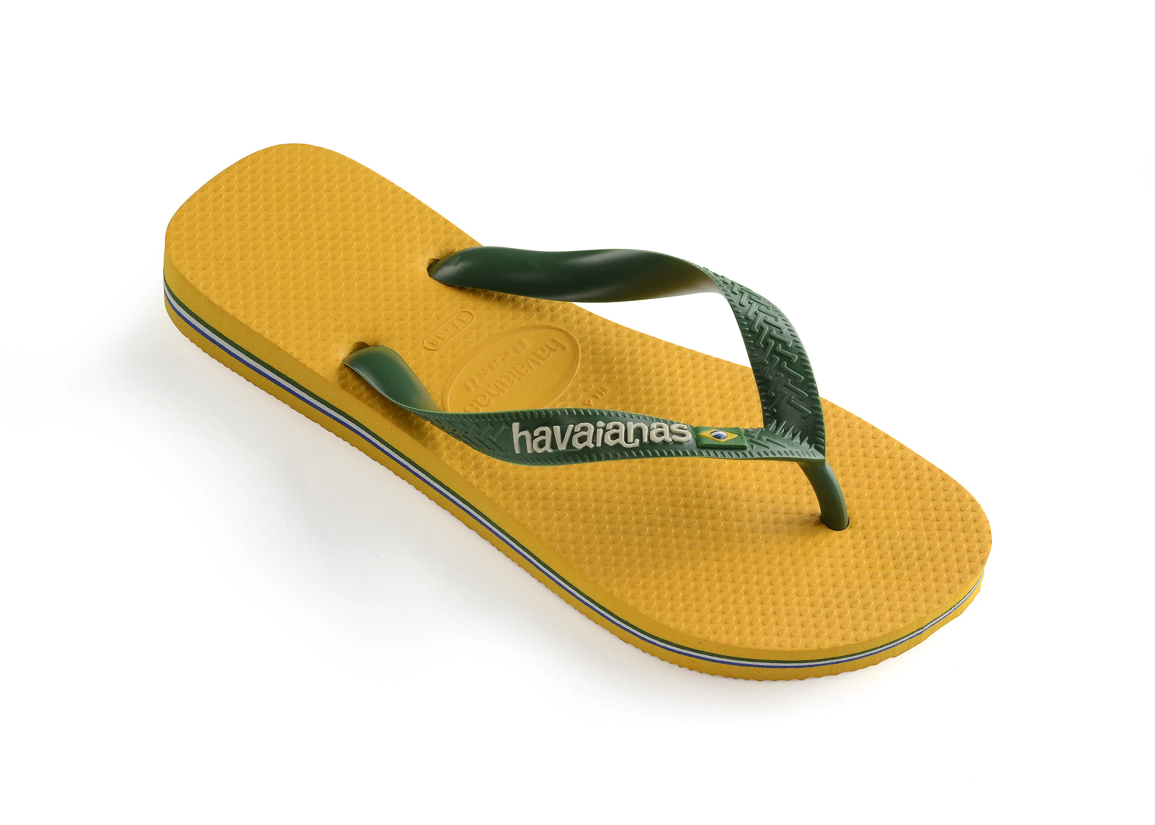 HAV BRASIL LOGO HAV BRASIL LOGO