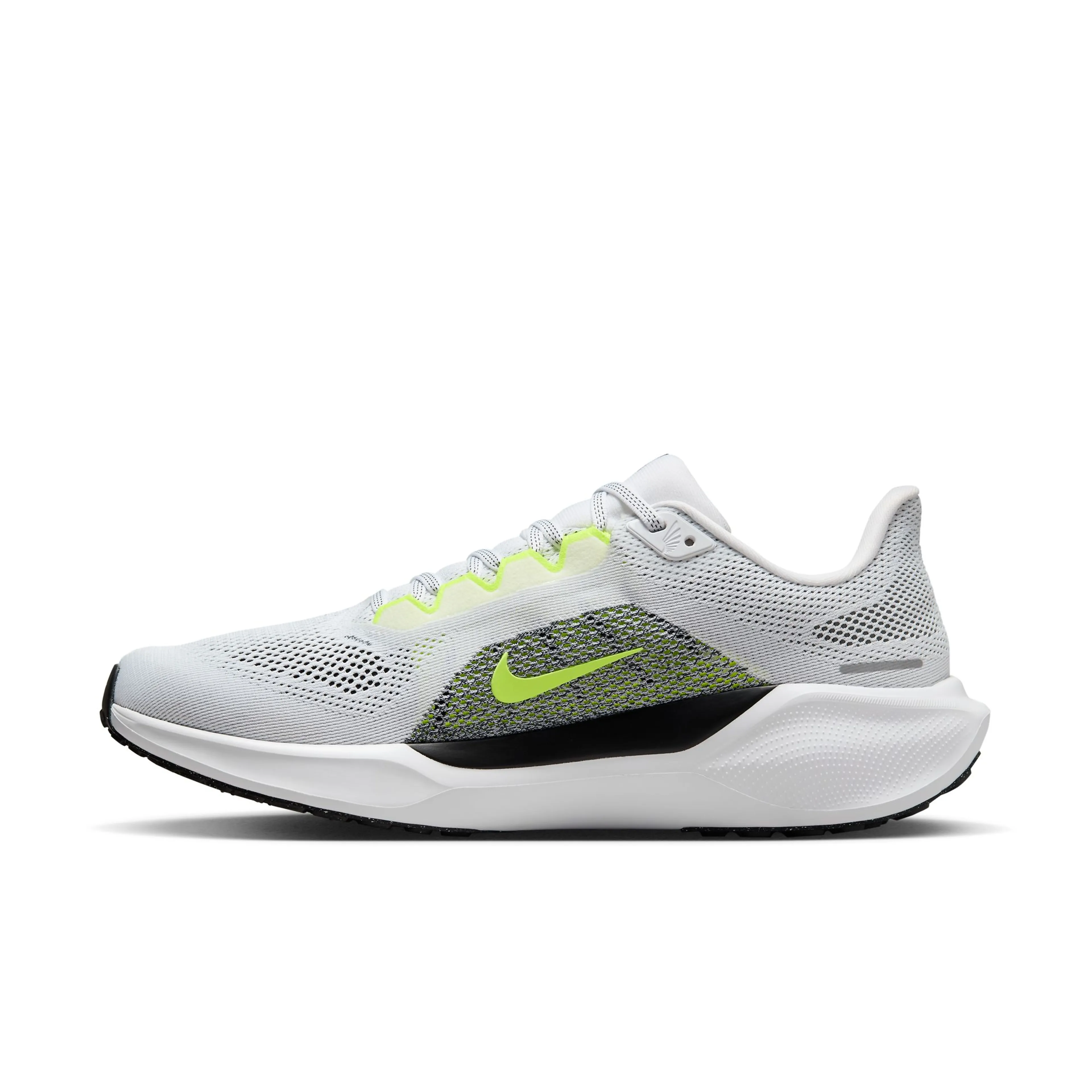  Pegasus 41