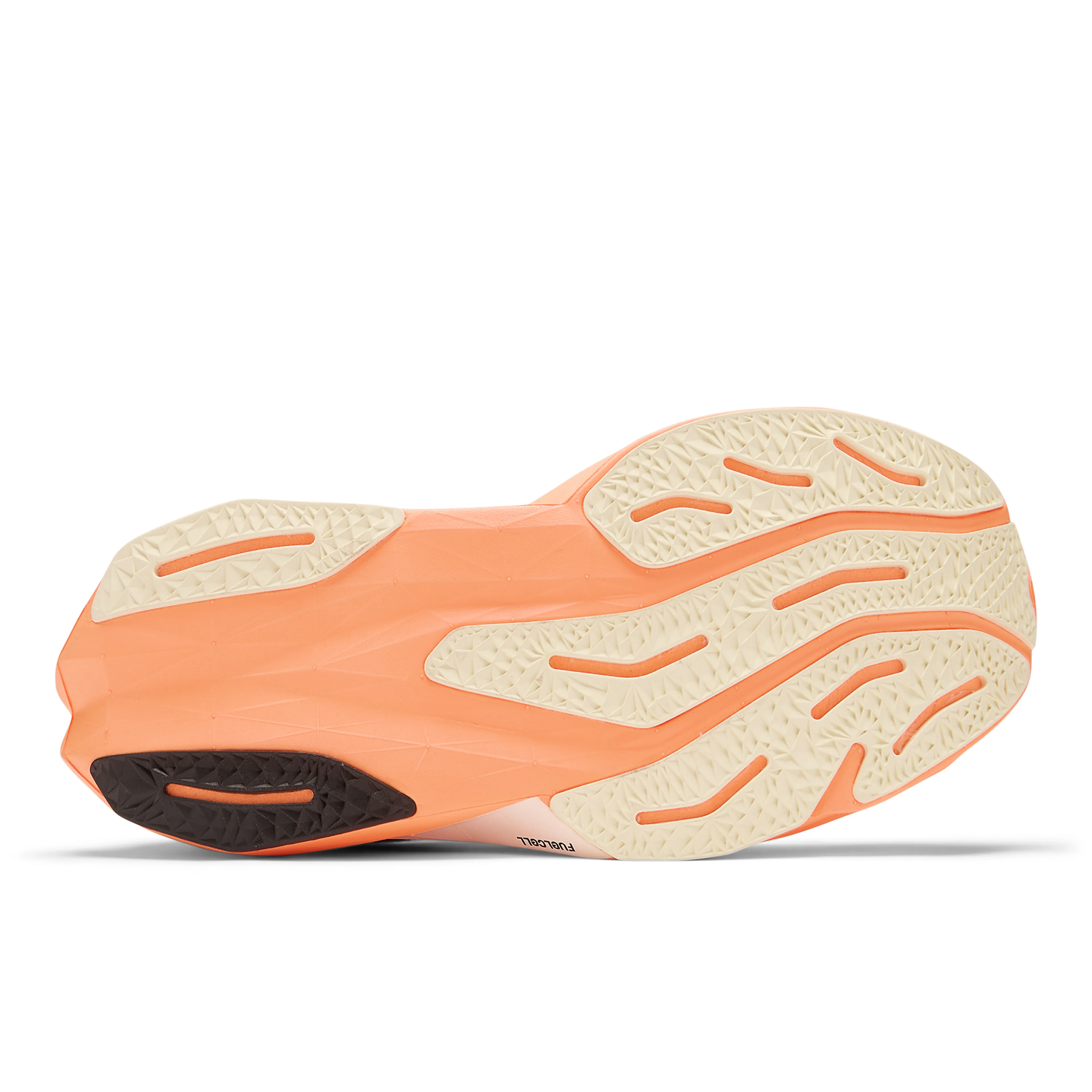 FuelCell Rebel v4