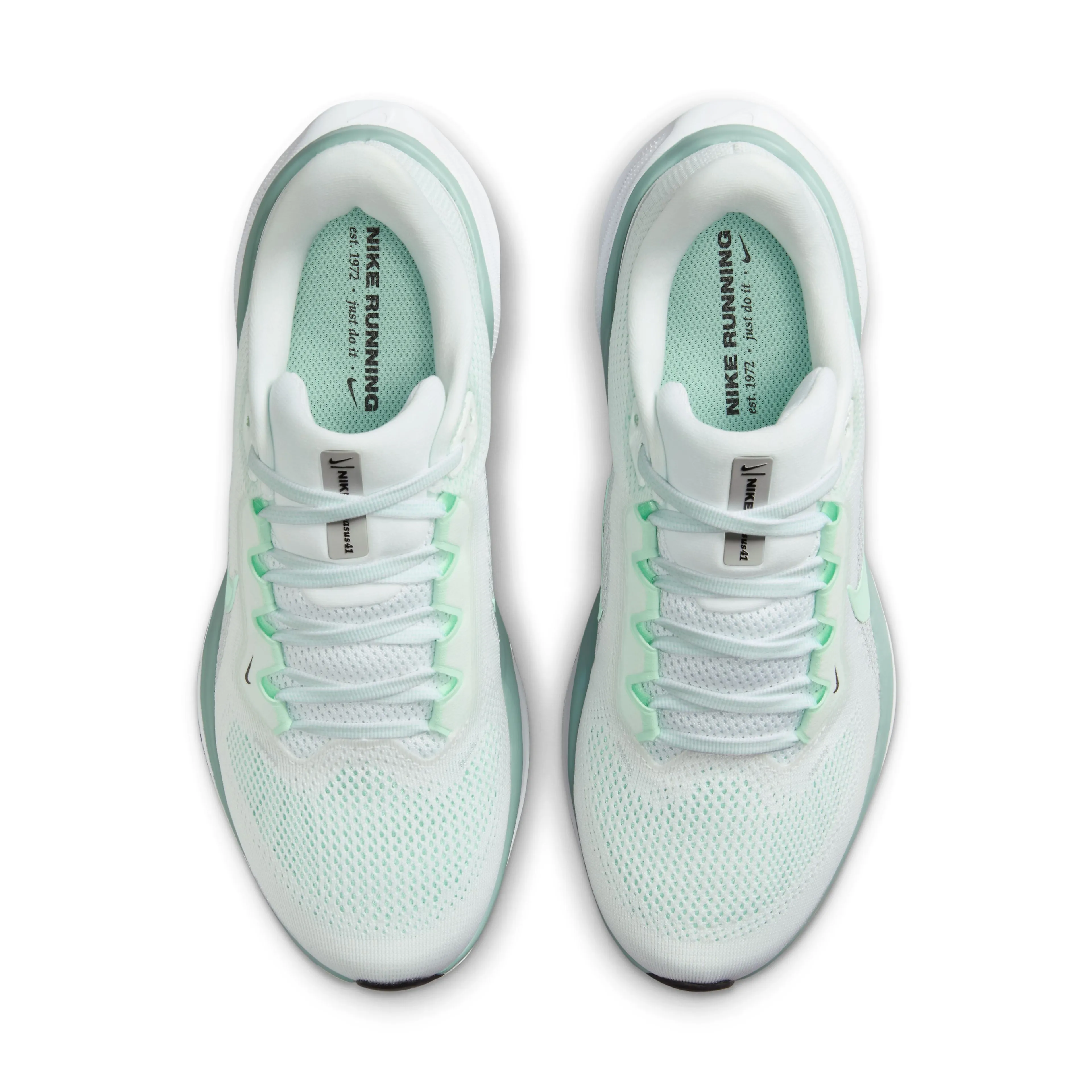 W AIR ZOOM PEGASUS 41