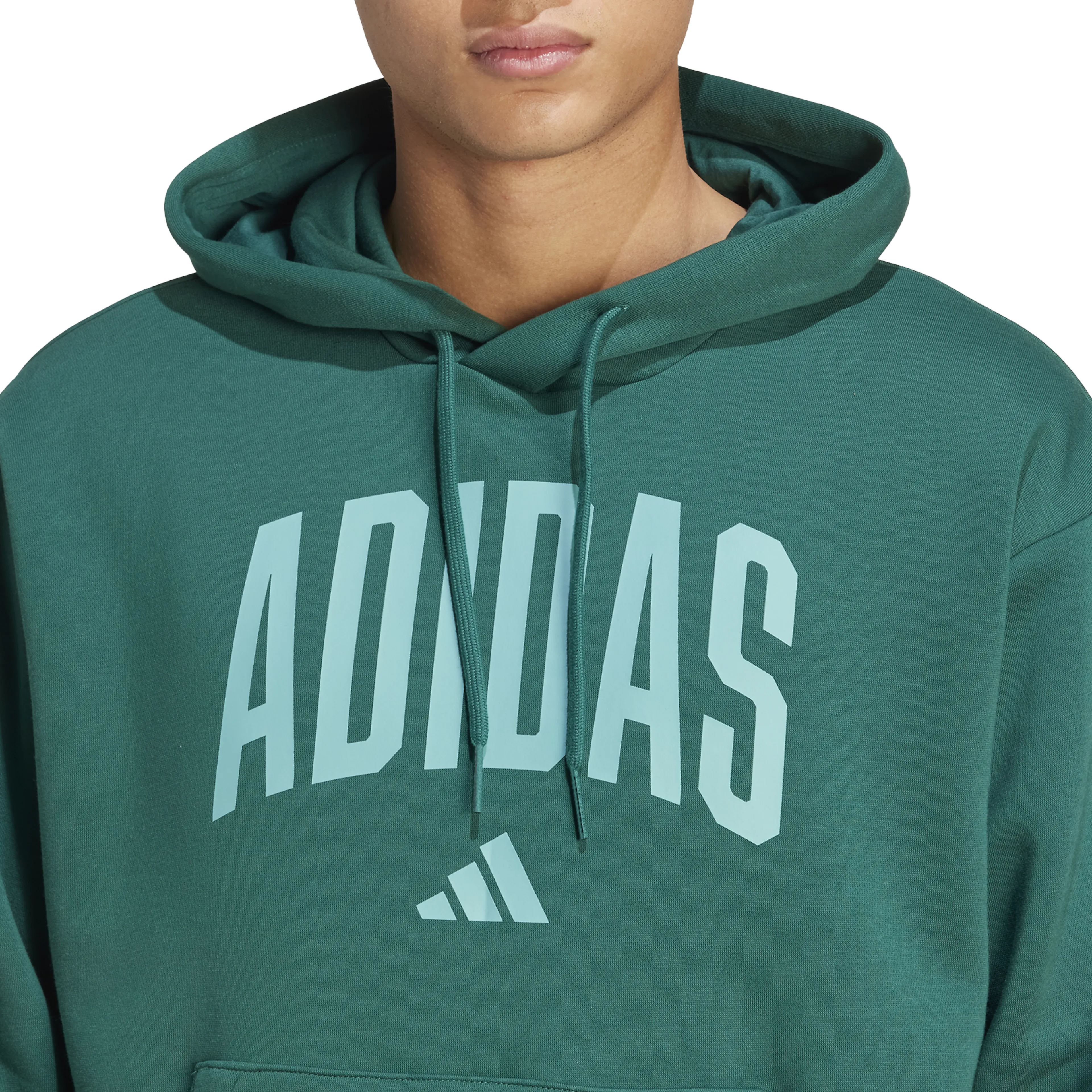 Collegiate Hoodie