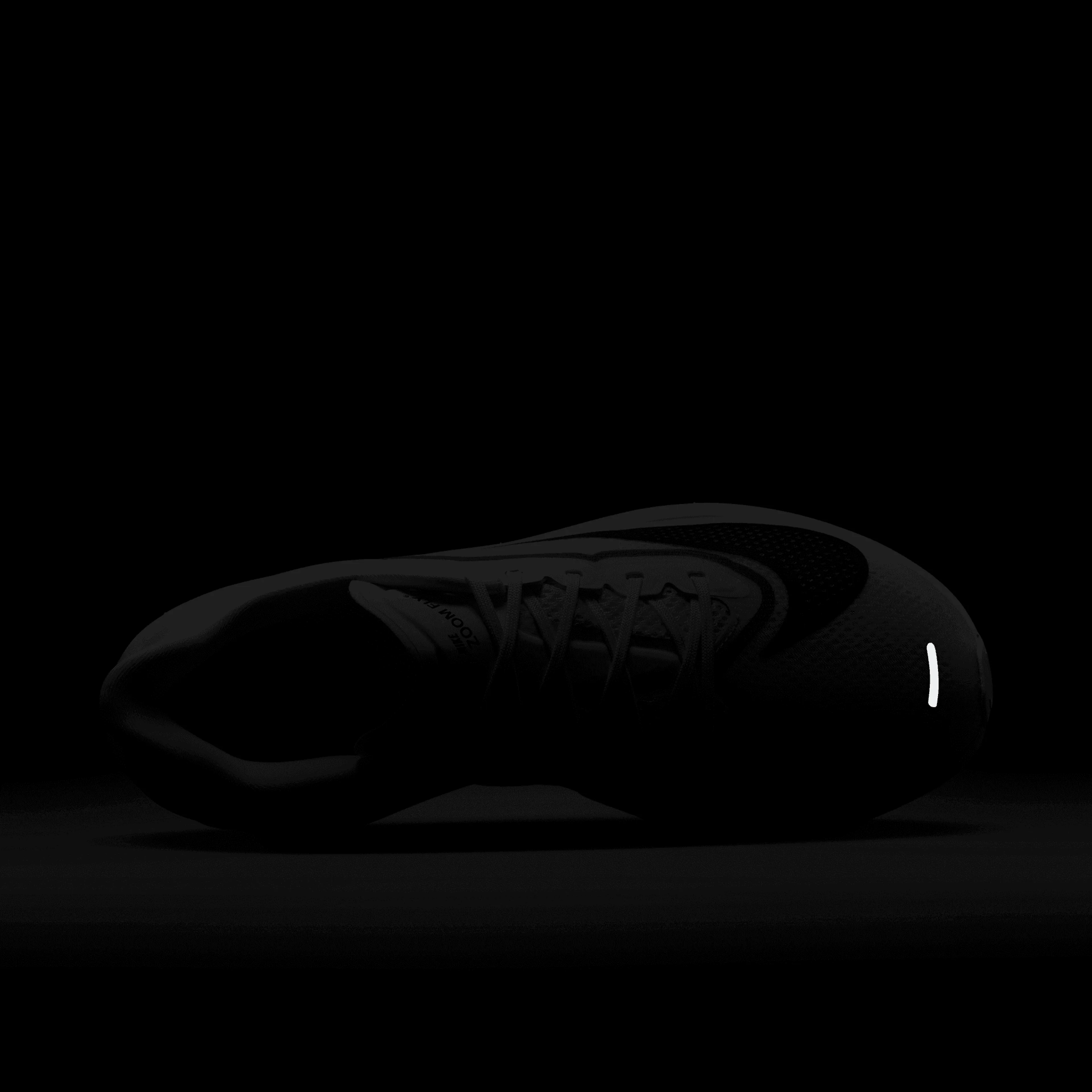 Zoom Fly 6