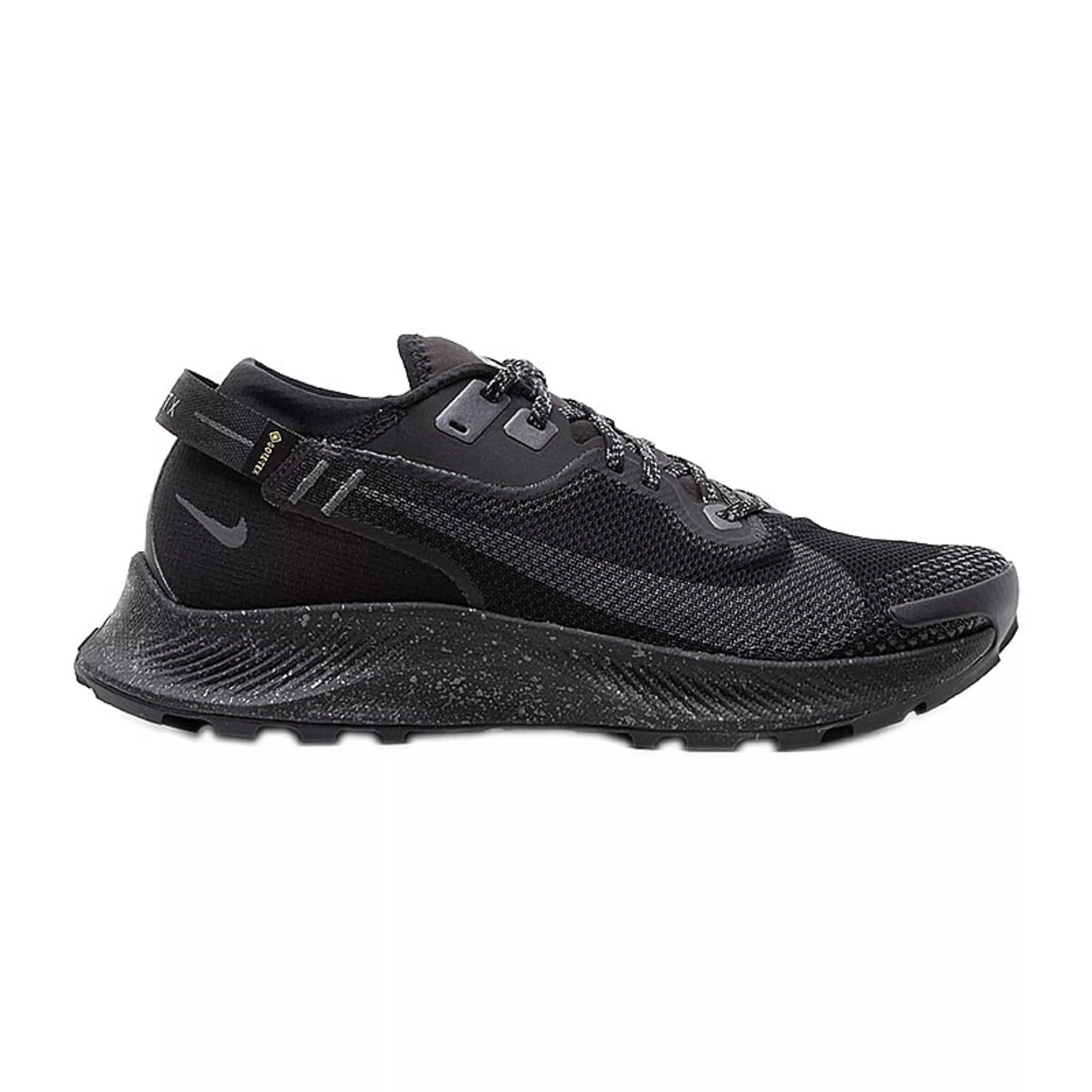 Pegasus Trail 2 GTX