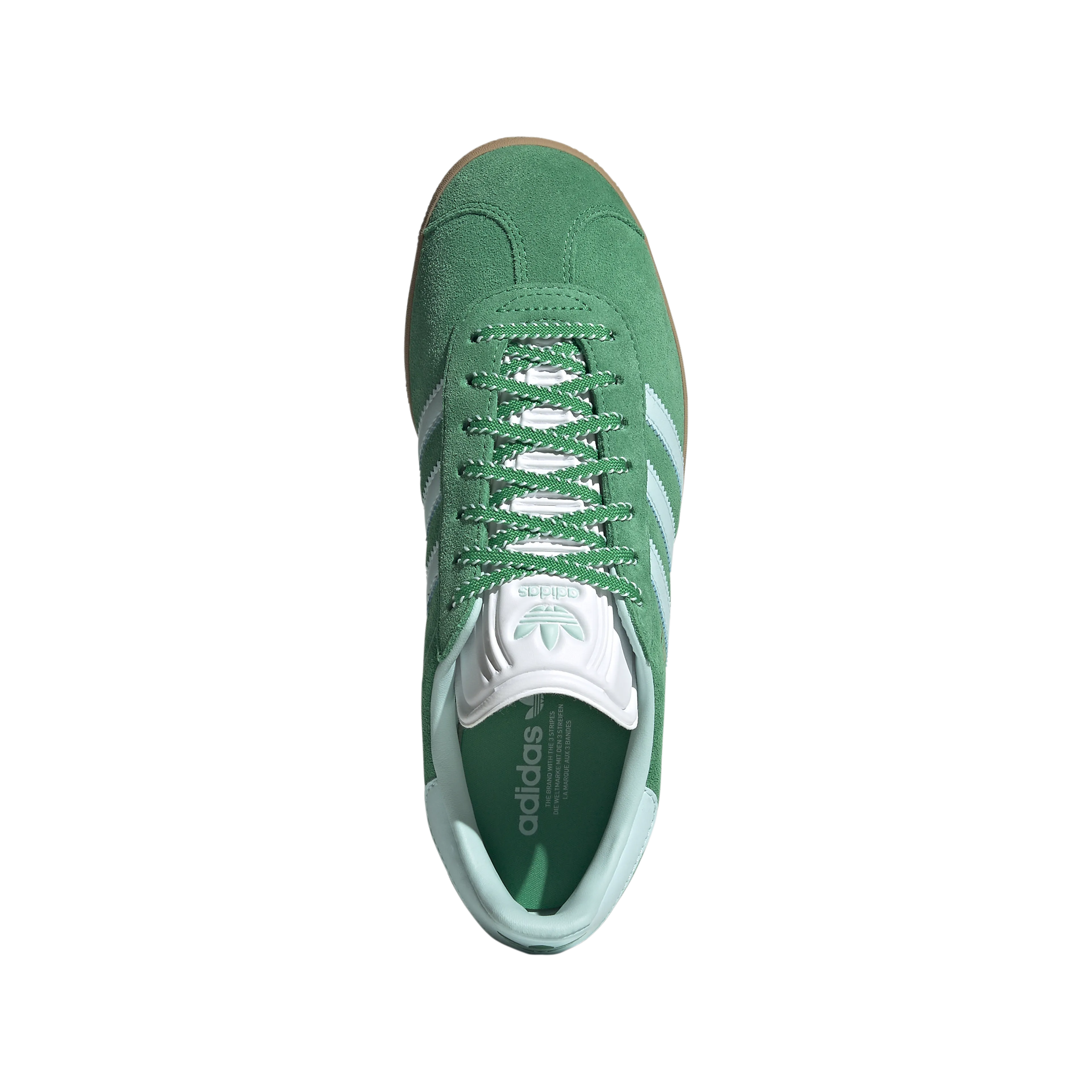 Gazelle