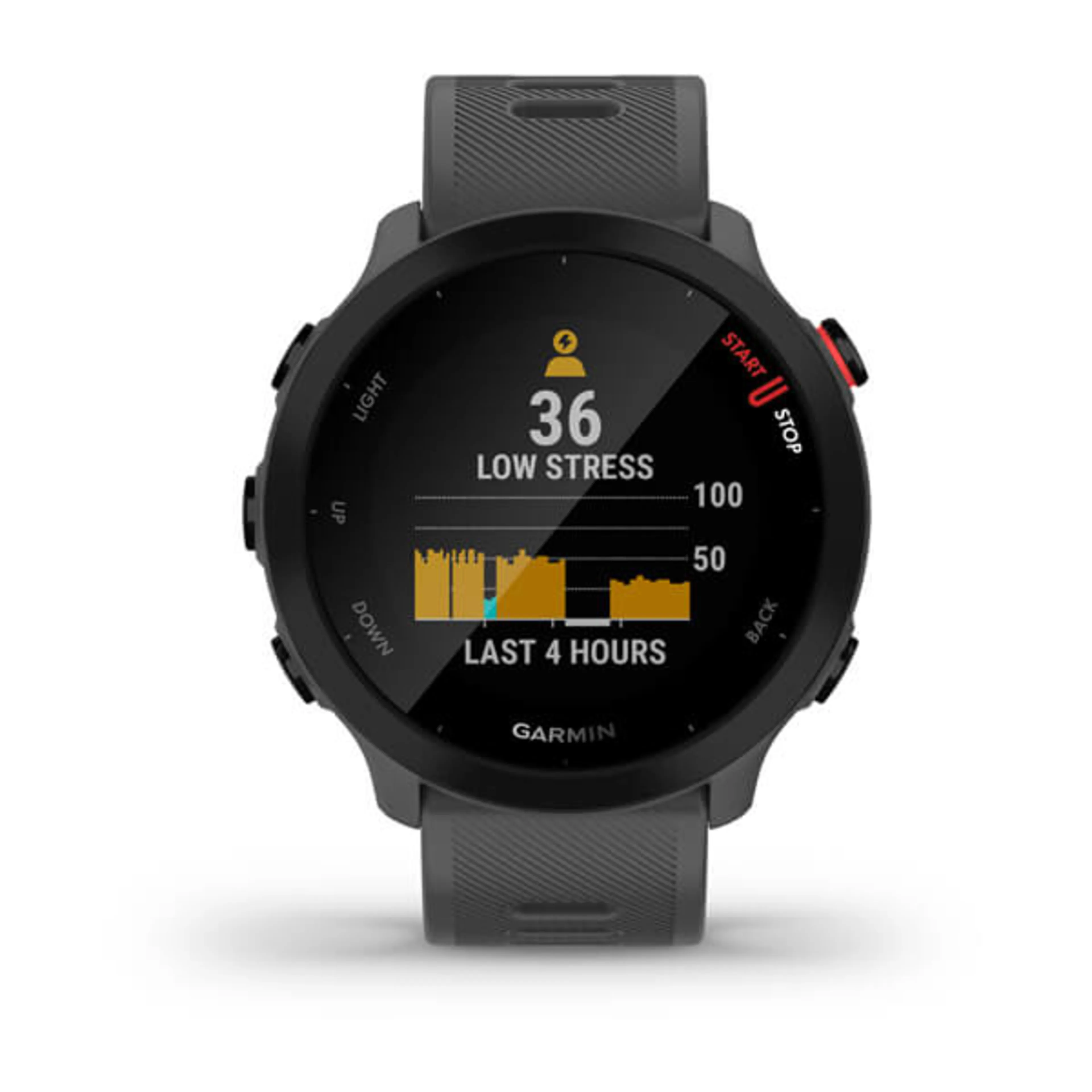 Forerunner 55 GPS Forerunner 55 GPS