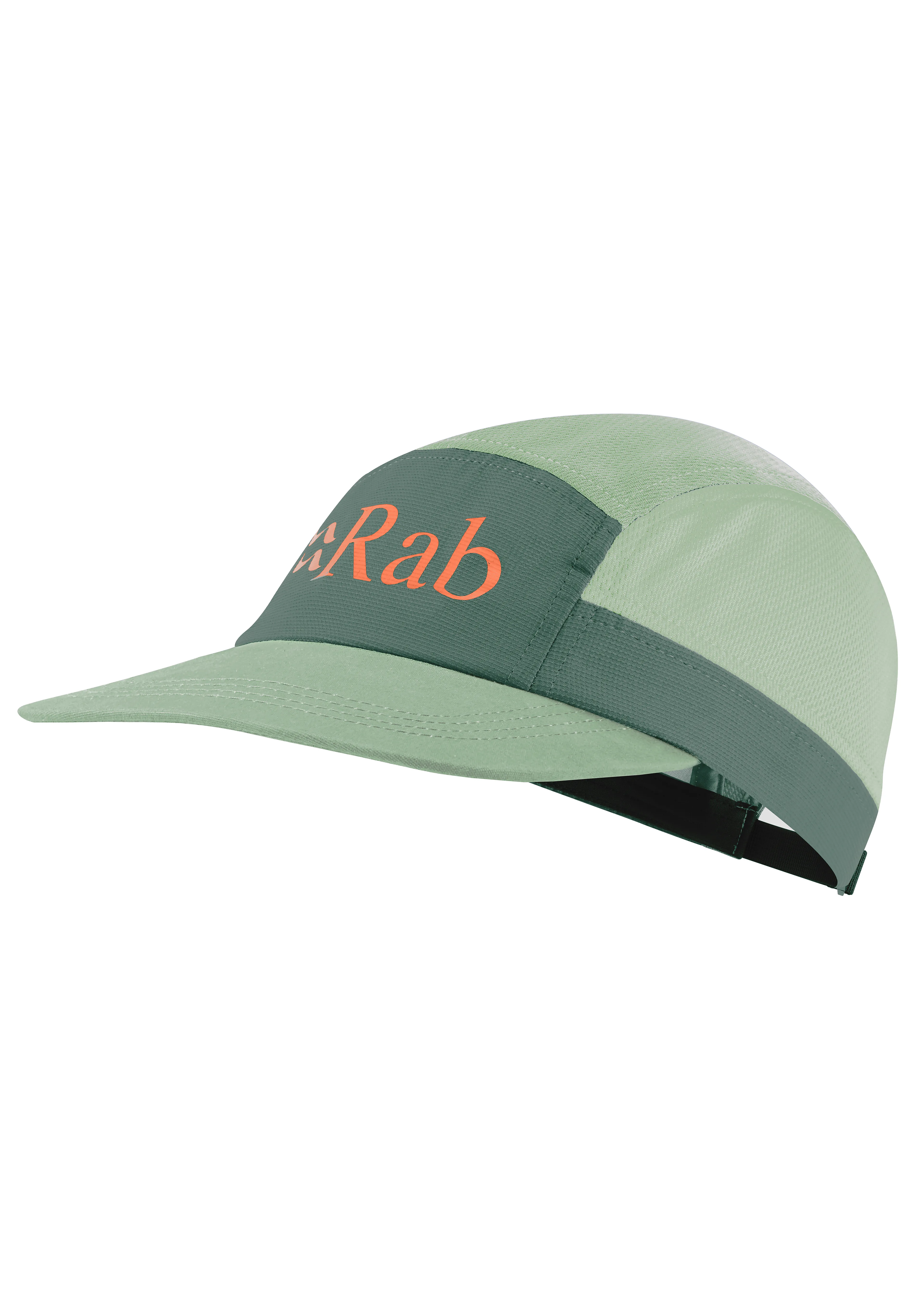 Momentum 5 Panel Cap